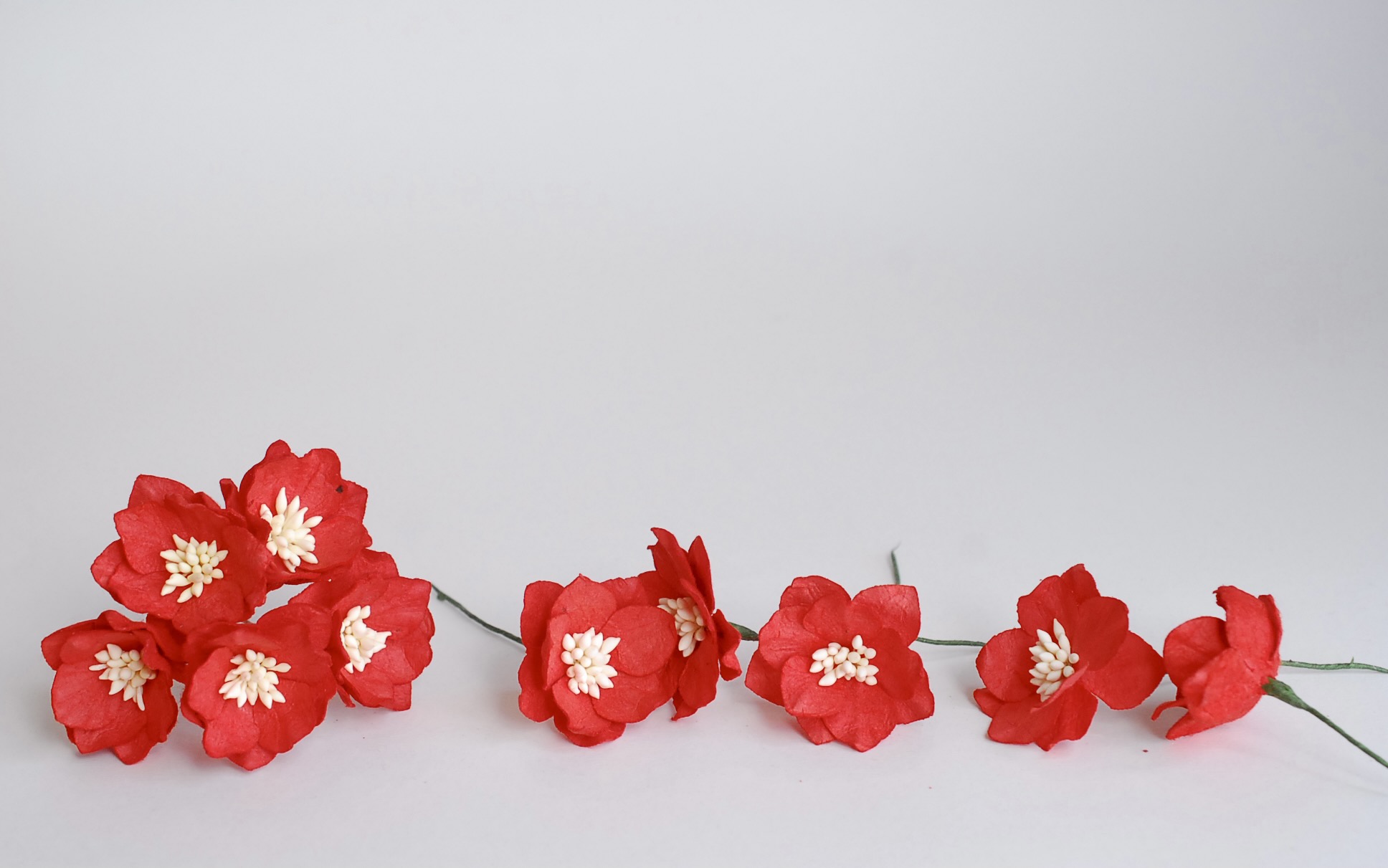 ดอกไม้กระดาษสา ดอกโลตัสอินโดนิเซียกระดาษ ดอกไม้กระดาษสาราคาส่ง ดอกไม้กระดาษสำหรับตกแต่งของชำร่วย งานแต่งงาน ทำช่อดอกไม้ติดอกเจ้าบ่าว ข้อมือดอกไม้เจ้าสาว ขนาด3.5 cm. 25 ดอก สีแดง Paper flowers supplies: DIY wedding supplies Big Cherry blossom red color.