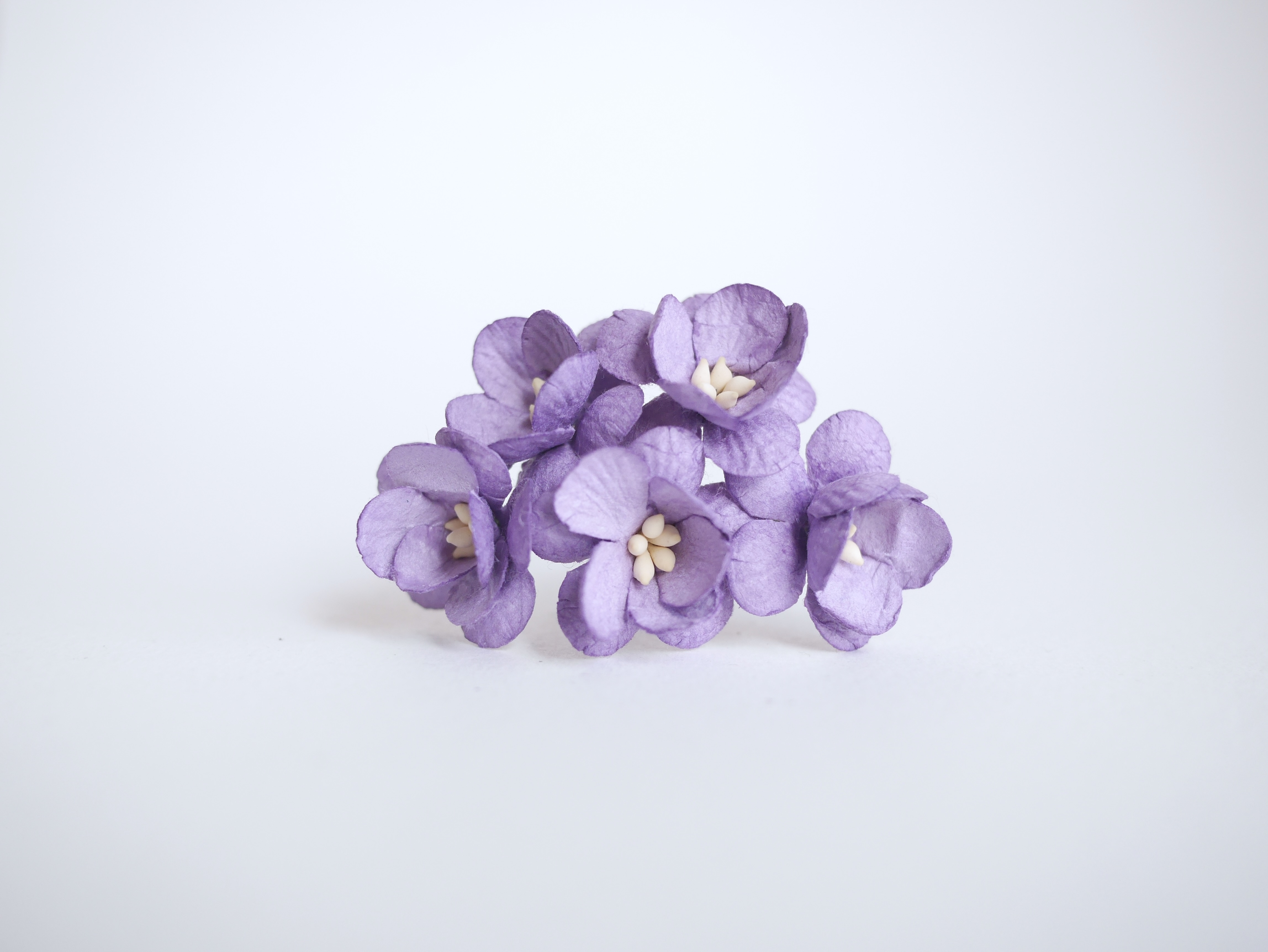 ดอกไม้กระดาษสา ดอกซากุระกระดาษ ขนาดเล็ก ดอกไม้กระดาษสาราคาส่ง ดอกไม้กระดาษสำหรับตกแต่งของชำร่วย งานแต่งงาน ทำช่อดอกไม้ติดอกเจ้าบ่าว ข้อมือดอกไม้เจ้าสาว ขนาด 2.5 cm. 50 ดอก สีม่วงเข้ม Paper flowers supplies: DIY wedding tools small Cherry blossom (Sakura)