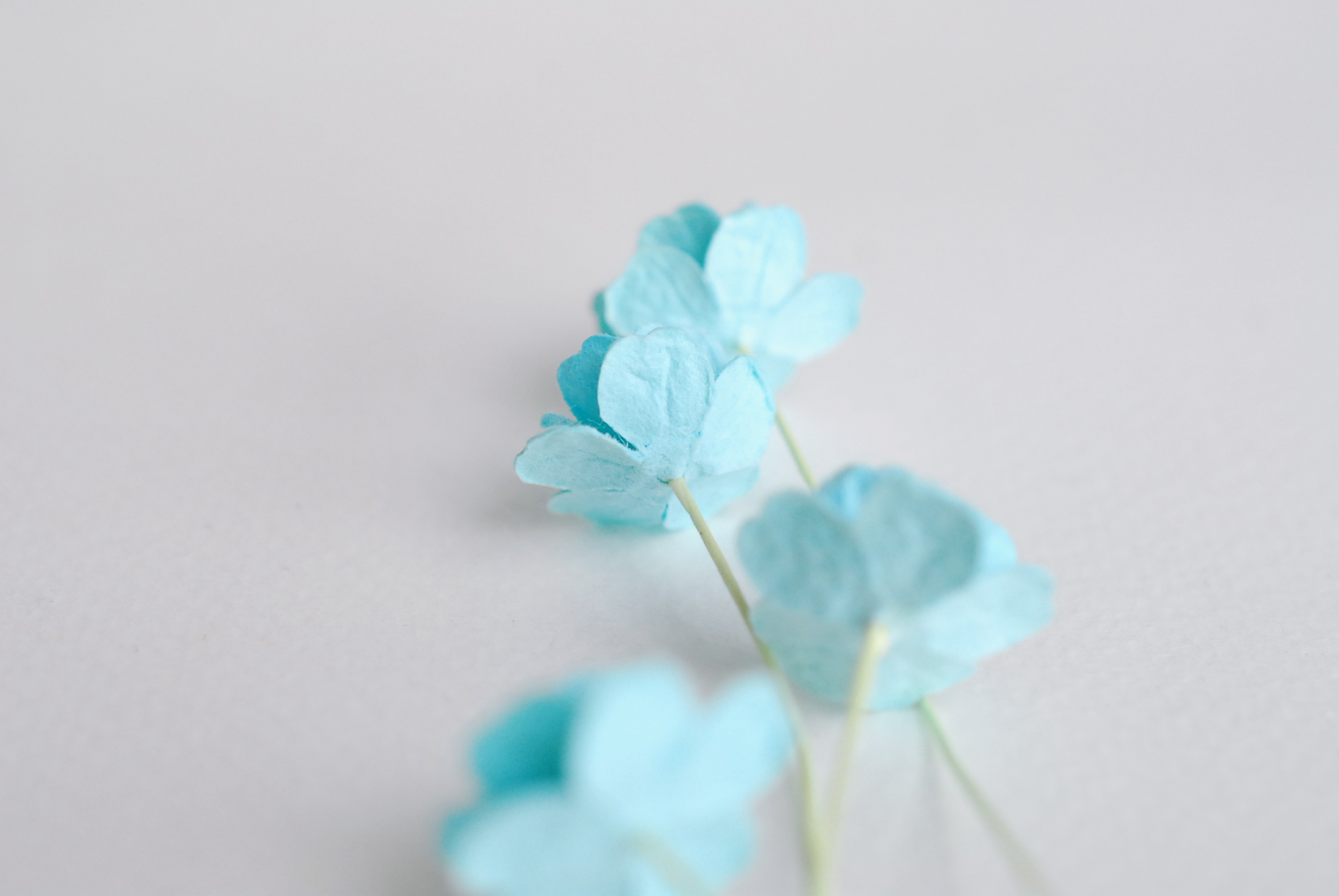 ดอกไม้กระดาษสา ราคาส่ง, ดอกไฮเดรนเยียกระดาษสา ดอกไม้ประดิษฐ์ ตกแต่งงานแต่งงาน ประดิษฐ์ข้อมือเพื่อนเจ้าสาว ขนา่ด 1.5 cm., สำหรับของชำร่วย, งานแต่งงาน, ดอกไม้ทำข้อมือเจ้าสาว สีฟ้าใส จำนวน 100 ดอก Paper flower,100 Pieces mulberry hydenyia blue sky color