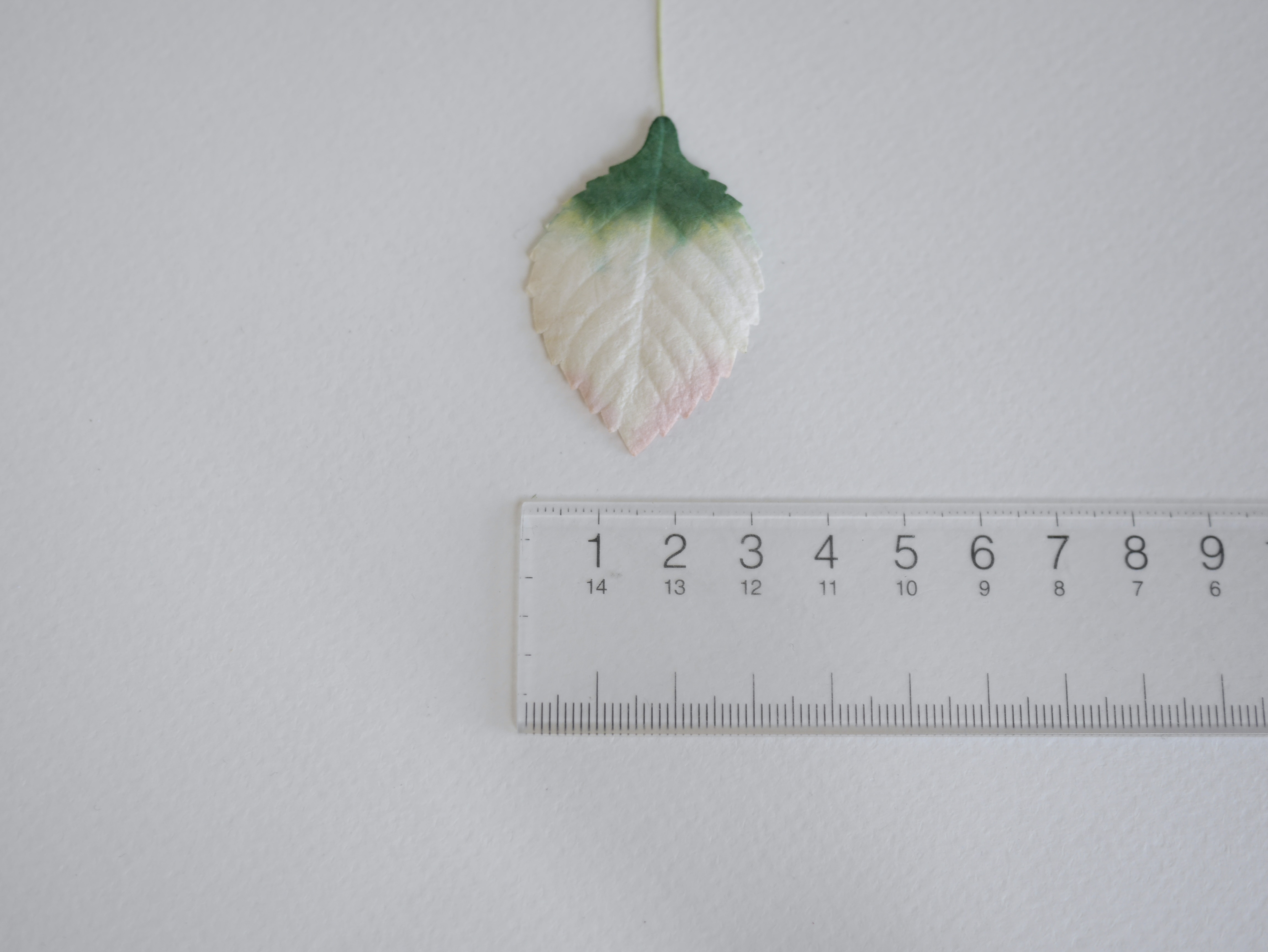 ใบไม้กระดาษ ใบไม้กระดาษสา ราคาส่ง,ใบไม่้กุหลาบกระดาษ สำหรับดอกกุหลาบกระดาษสา ใบไม้ประดิษฐ์ สำหรับตกแต่ง หรืองานแต่งงาน สีขาวปัดเขียวแก่ ขนาด 4.5x2.5 cm. จำนวน 50 ใบ สำเนา