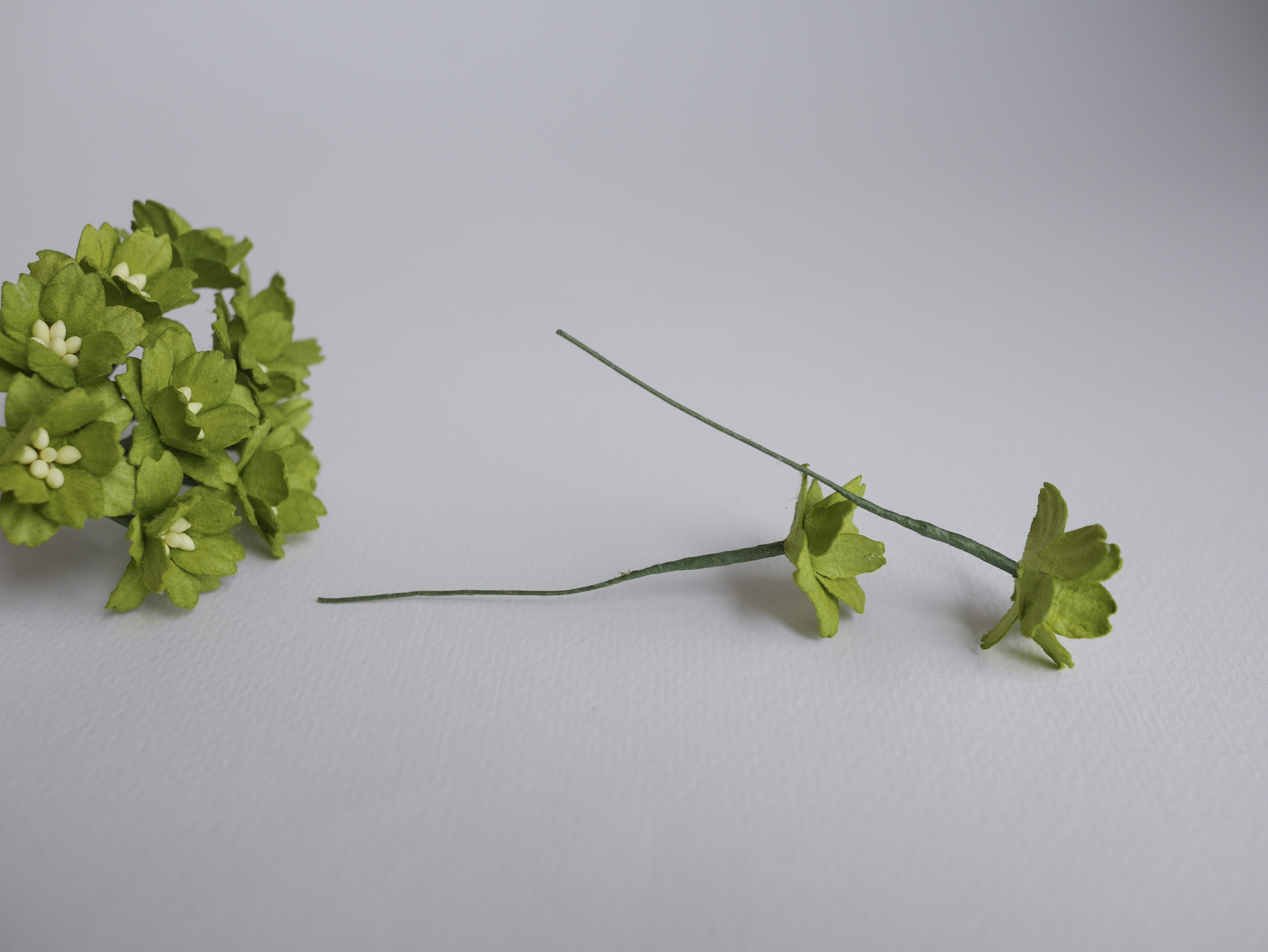 ดอกไม้กระดาษสา ดอกซากุระกระดาษ ดอกไม้กระดาษสาราคาส่ง ดอกไม้กระดาษสำหรับตกแต่งของชำร่วย งานแต่งงาน ทำช่อดอกไม้ติดอกเจ้าบ่าว ข้อมือดอกไม้เจ้าสาว ขนาด 2.00 cm. 50 ดอก สีเขียว Paper flowers supplies: DIY wedding tools Cherry blossom (Sakura) 50 pcs. size 2.0