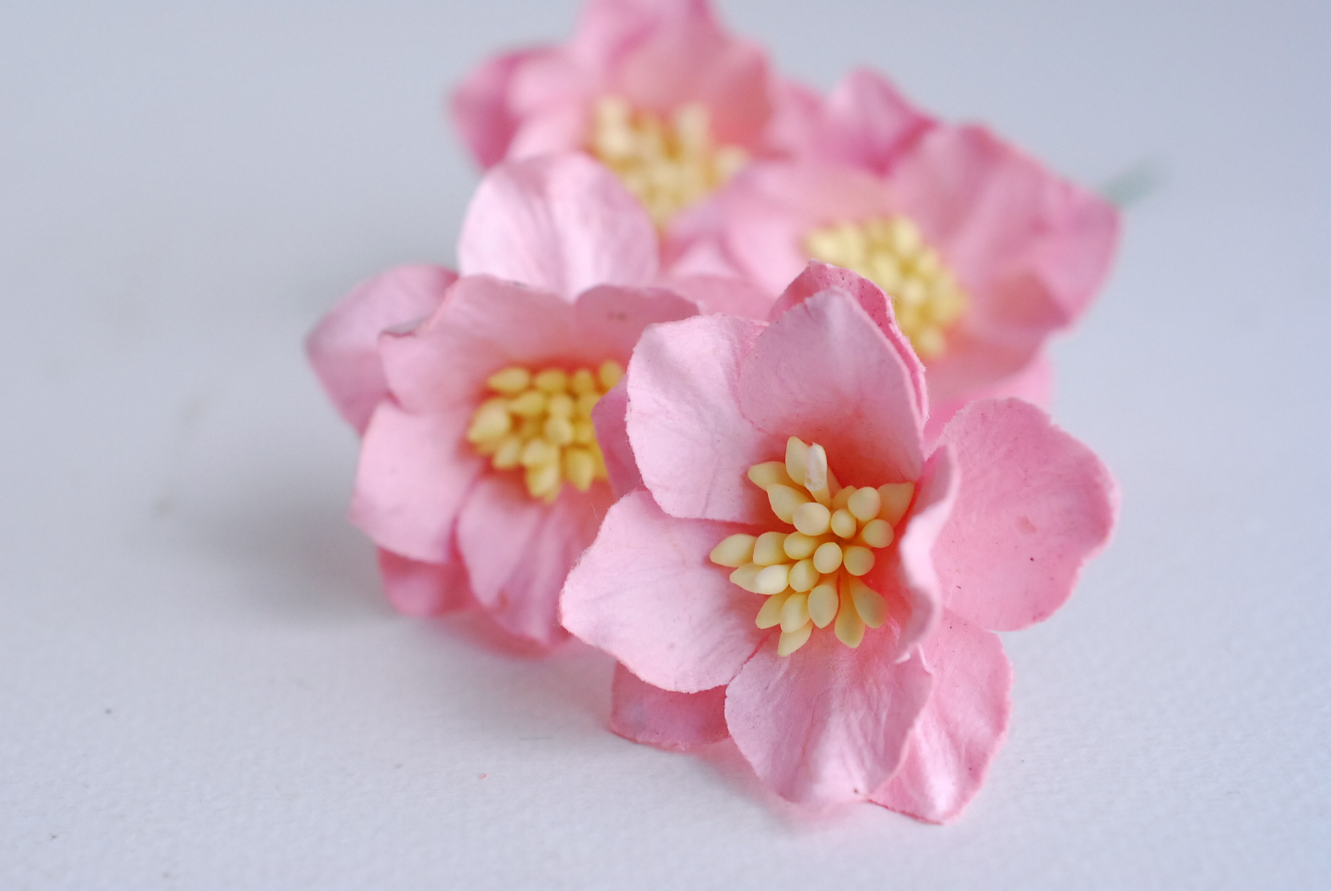 ดอกไม้กระดาษสา ดอกโลตัสอินโดนิเซียกระดาษ ดอกไม้กระดาษสาราคาส่ง ดอกไม้กระดาษสำหรับตกแต่งของชำร่วย งานแต่งงาน ทำช่อดอกไม้ติดอกเจ้าบ่าว ข้อมือดอกไม้เจ้าสาว ขนาด3.5 cm. 25 ดอก สีชมพู Paper flowers supplies: DIY wedding tools Big Cherry blossom (Lotus Indonisi