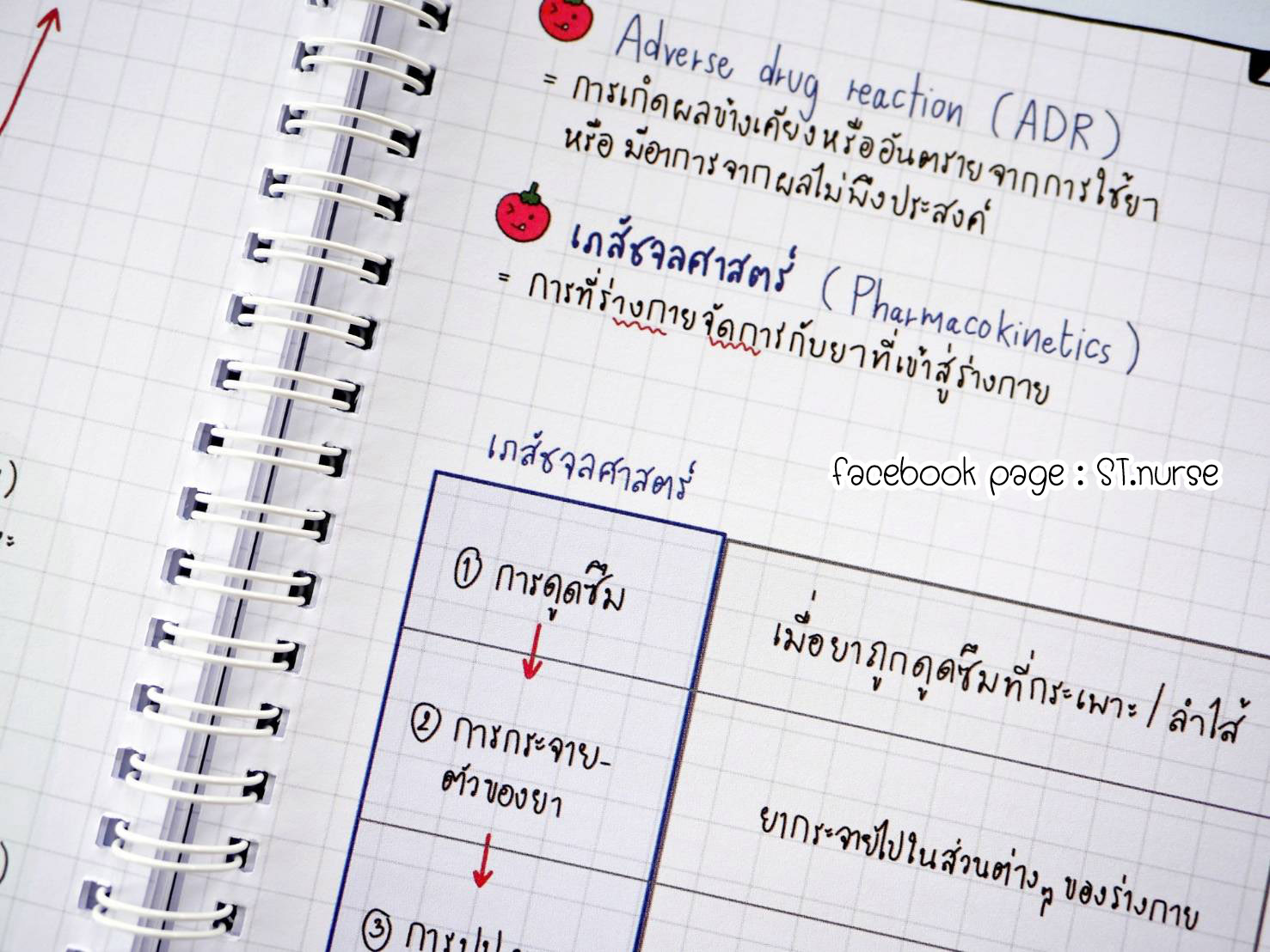 shortnote การพยาบาลผู้สูงอายุ