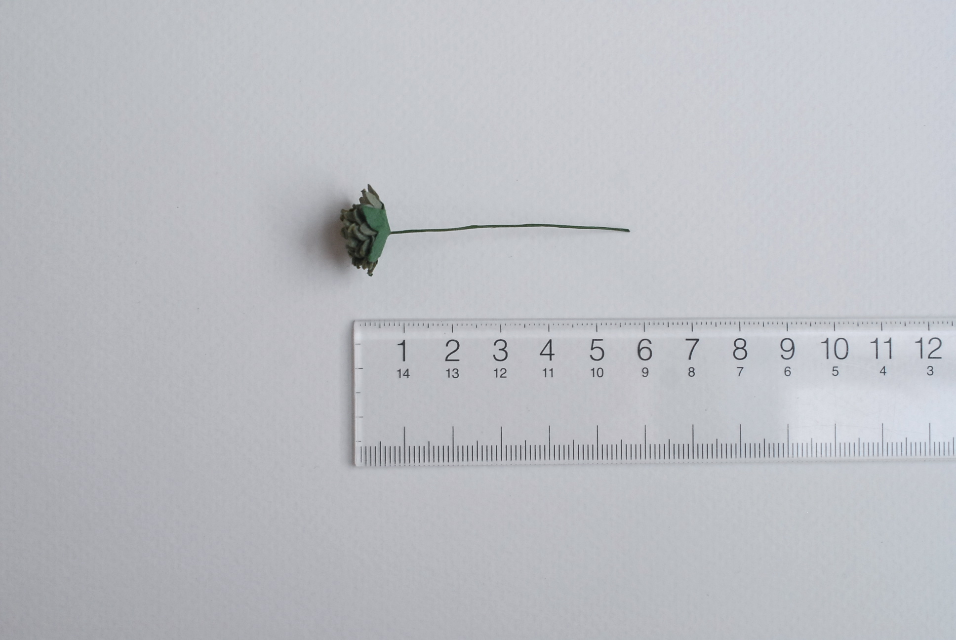 ดอกไม้ประดิษฐ์, ดอกไม้กระดาษสา, ดอก gypsophila, ดอกยิปโซ งานประดิษฐ์ตกแต่งของชำร่วย, ดอกไม้ทำพานพุ่ม,พานพวงมาลัย, พานรับไหว้, ขนาด 1.5 cm. สีเขียวตุ่น