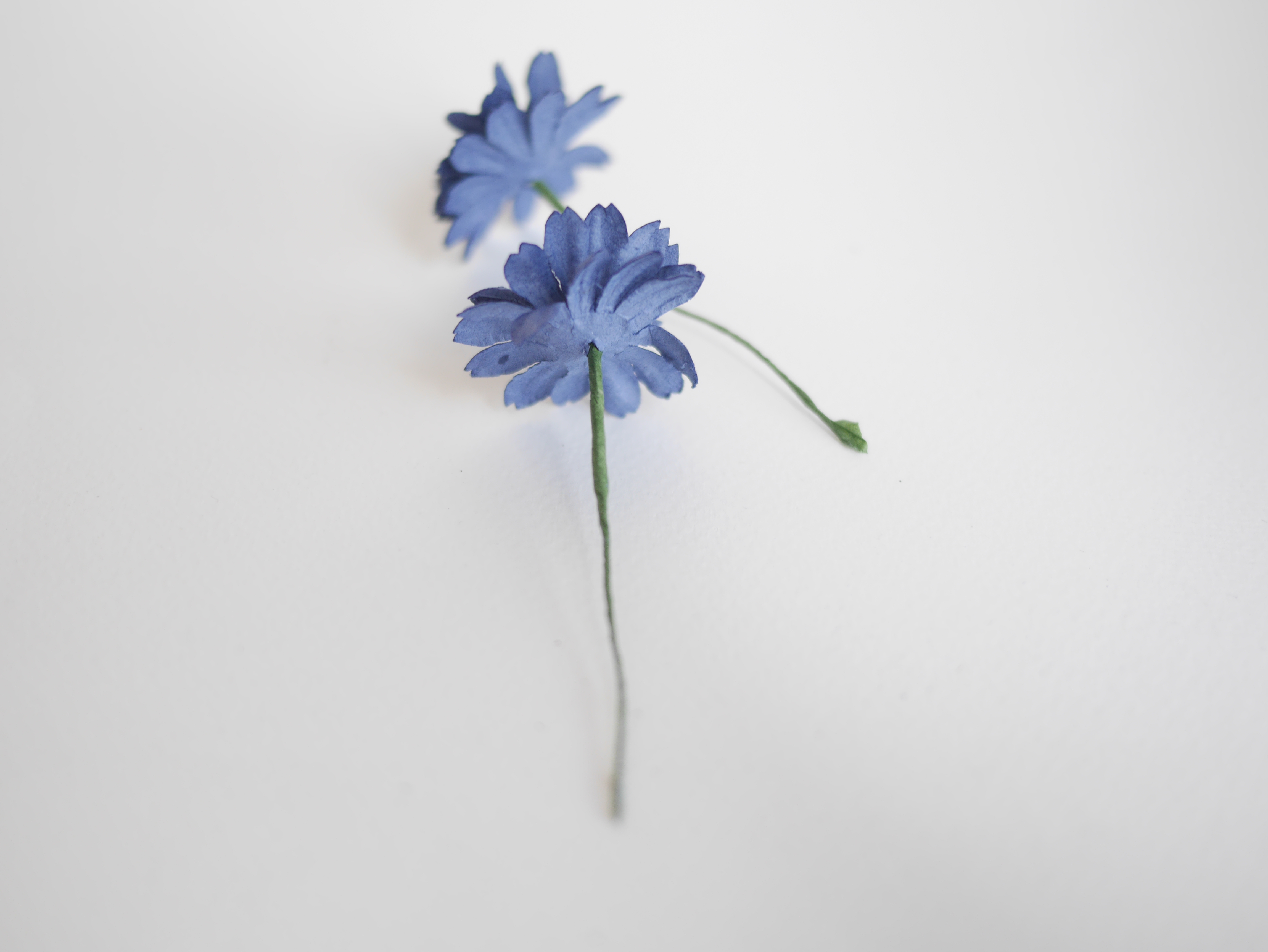 ดอกไม้กระดาษสา ดอกไม้ประดิษฐ์จากกระดาษสา ดอกเดซี่ ดอกไม้กระดาษสาขายส่ง ดอกไม้ประดิษฐ์ ดอกไม้ทำข้อมือเพื่อนเจ้าสาว ดอก daisy ขนาด 3.5 cm. จำนวน 25 ดอก สีน้ำเงินกรมท่า Paper Flower, 25 Daisy Flowers, ivory color, size 4.5 cm., passion blue pollen.