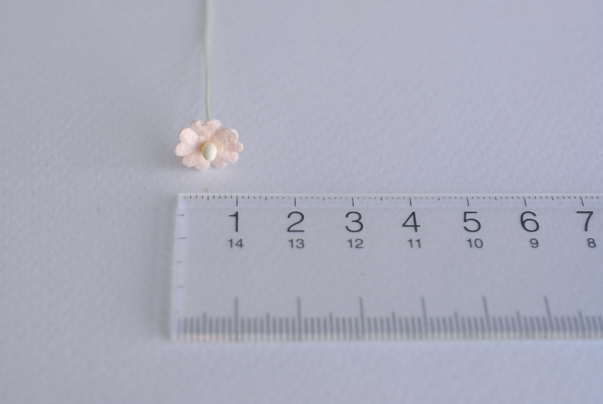 ดอกไม้กระดาษสา ดอกไม้กระดาษสาราคาส่ง ดอกไม้กระดาษสำหรับตกแต่ง งานแต่งงาน หรือติดของชำร่วย ดอกไม้จิ๋ว 100 ดอก ขนาด 1 cm. สีพีชพาสเทล Small Paper Flower with stem, , 100 pcs., size 1 cm., small creeping ladies flowers 1 layer, peach pastel color.