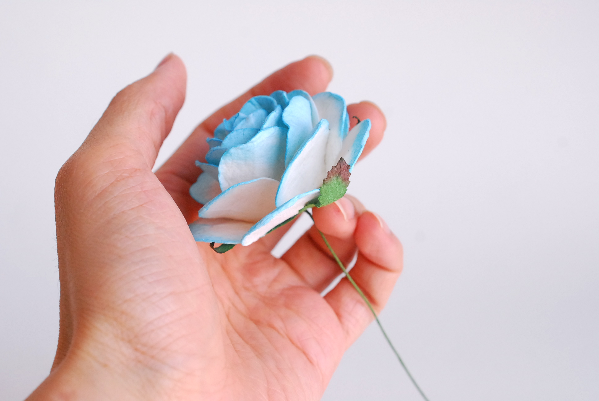 ดอกไม้กระดาษสา ขนา่ด 6.5 cm., สำหรับของชำร่วย, งานแต่งงาน, สีฟ้าปัดขาว Paper flower, handmade flowers supplies, wedding decoration:10 Pieces mulberry rose, 6.5 cm. blue sky brush white color.