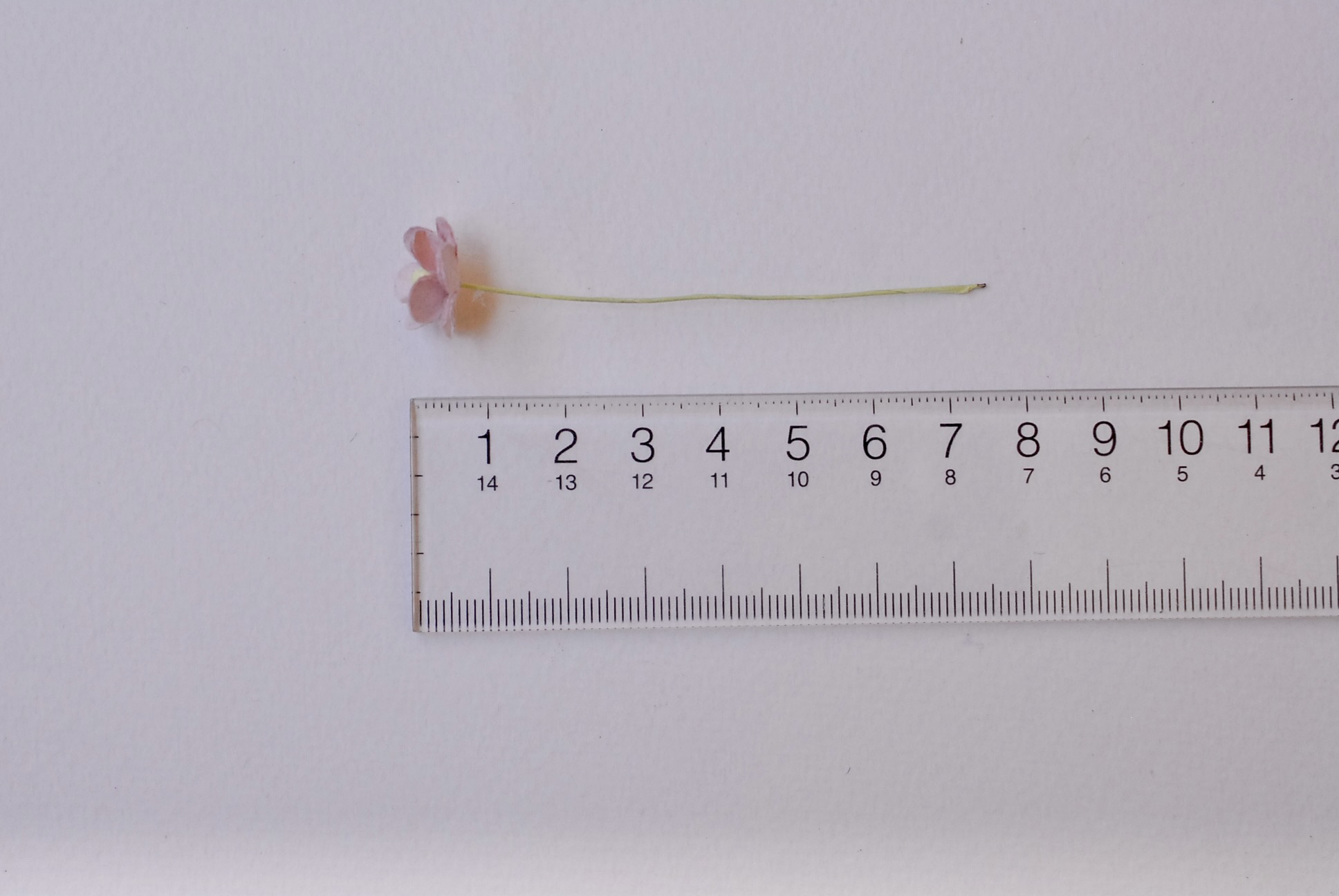 ดอกไม้กระดาษสา ราคาส่ง, ดอกไฮเดรนเยียกระดาษสา ดอกไม้ประดิษฐ์ ตกแต่งงาน ประดิษฐ์ข้อมือ เพื่อนเจ้าสาว ขนาด 1.5 cm., สำหรับของชำร่วย, งานแต่งงาน, ดอกไม้ทำข้อมือเจ้าสาว สีม่วงชมพูอ่อน จำนวน 100 ดอก Paper flower,100 Pieces mulberry hydenyia, plum-pink color.