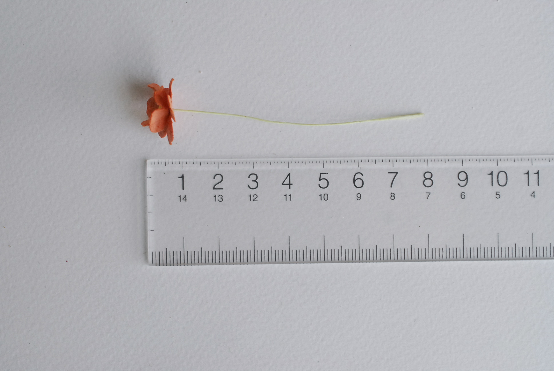 ดอกไม้กระดาษสา ราคาส่ง, ดอกไฮเดรนเยียกระดาษสา ดอกไม้ประดิษฐ์ ตกแต่งงานแต่งงาน ประดิษฐ์ข้อมือเพื่อนเจ้าสาว ขนา่ด 1.5 cm., สำหรับของชำร่วย, งานแต่งงาน, ดอกไม้ทำข้อมือเจ้าสาว สีน้ำตาล จำนวน 100 ดอก Paper flower,100 Pieces mulberry hydenyia brown color