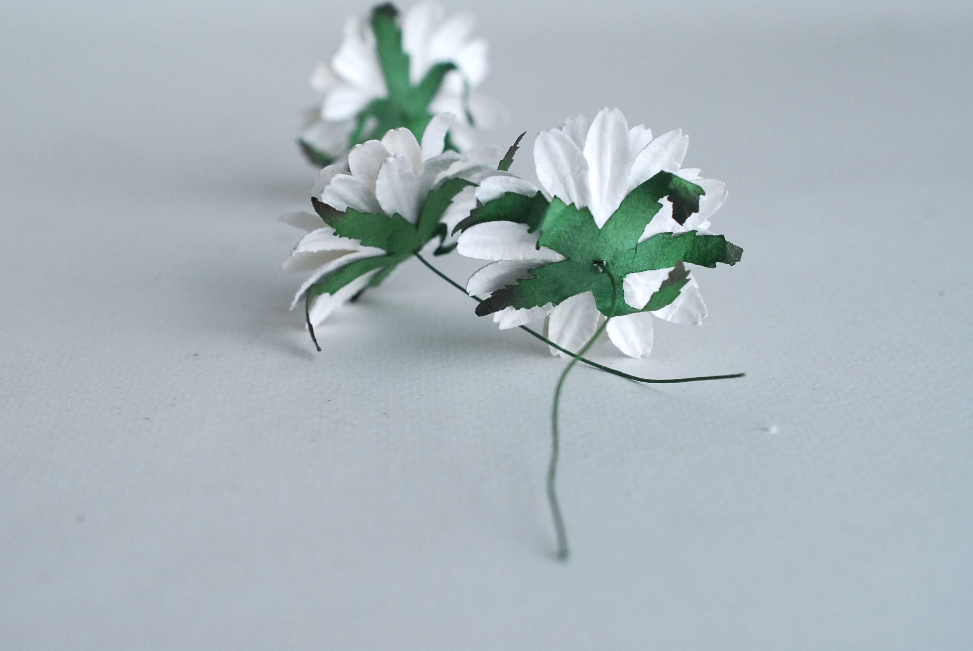 ดอกทานตะวันกระดาษ ดอกไม้กระดาษสา ดอกไม้ประดิษฐ์จากกระดาษสา ดอกทานตะวัน ดอกไม้กระดาษสาขายส่ง ดอกไม้ประดิษฐ์ ดอกไม้ทำข้อมือเพื่อนเจ้าสาว ขนาด 4.5 cm. จำนวน 25 ดอก สีขาว เกสรสีเหลือง Paper Flower, Sun Flowers, white color, size 4.5 cm 25pieces, yellow pollen