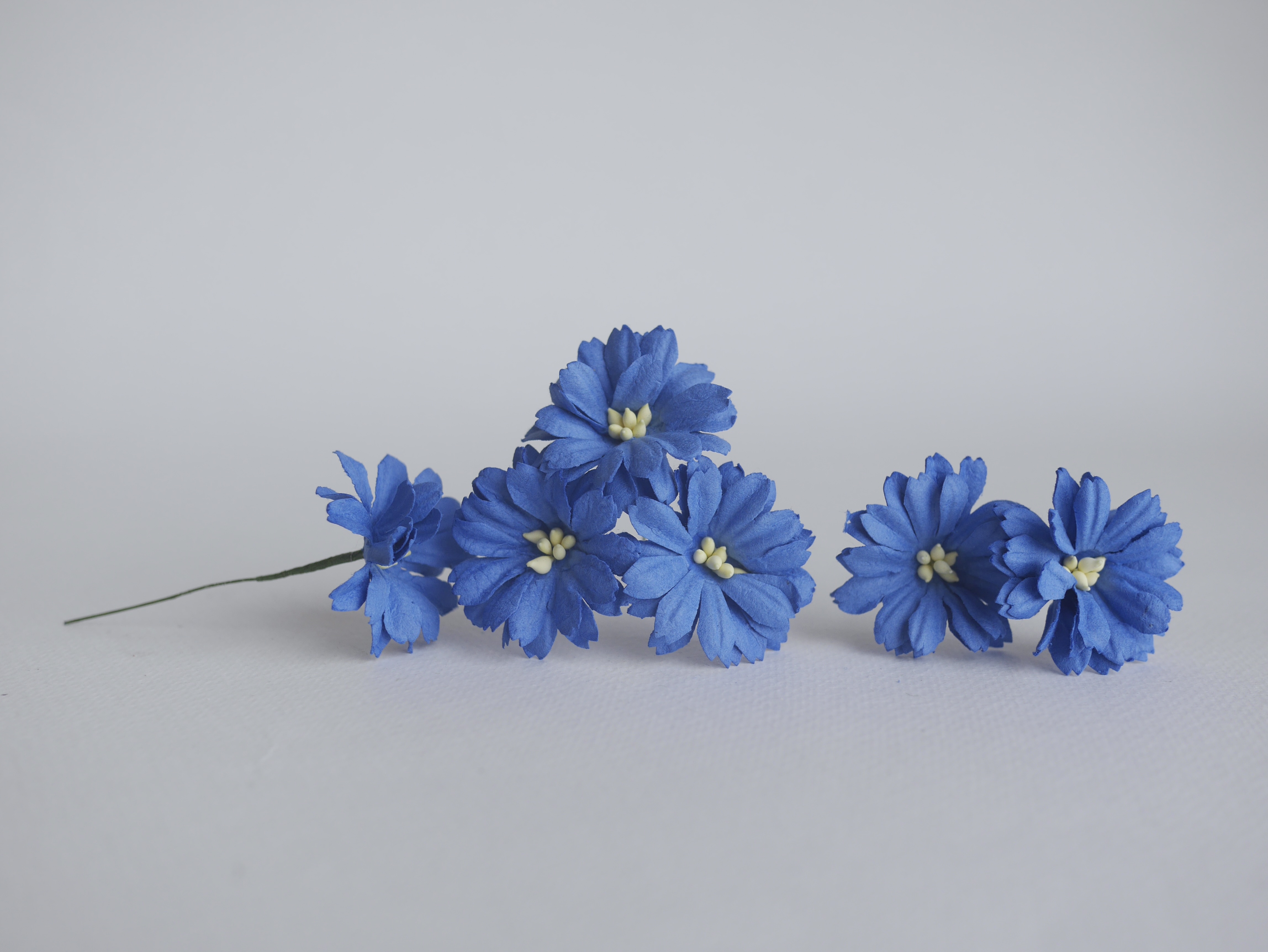 ดอกไม้กระดาษสา ดอกไม้ประดิษฐ์จากกระดาษสา ดอกเดซี่ ดอกไม้กระดาษสาขายส่ง ดอกไม้ประดิษฐ์ ดอกไม้ทำข้อมือเพื่อนเจ้าสาว ดอก daisy ขนาด 3.5 cm. จำนวน 25 ดอก สีน้ำเงินกรมท่า Paper Flower, 25 Daisy Flowers, ivory color, size 4.5 cm., royal blue pollen.