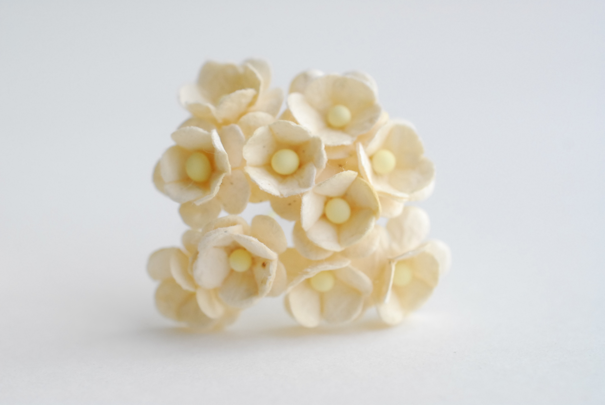 ดอกไม้กระดาษสา ราคาส่ง, ดอกไฮเดรนเยียกระดาษสา ดอกไม้ประดิษฐ์ ตกแต่งงานแต่งงาน ประดิษฐ์ข้อมือ เพื่อนเจ้าสาว ขนาด 1.5 cm., สำหรับของชำร่วย, งานแต่งงาน, ดอกไม้ทำข้อมือเจ้าสาว สีงาช้าง จำนวน 100 ดอก Paper flower,100 Pieces mulberry hydenyia, ivory color