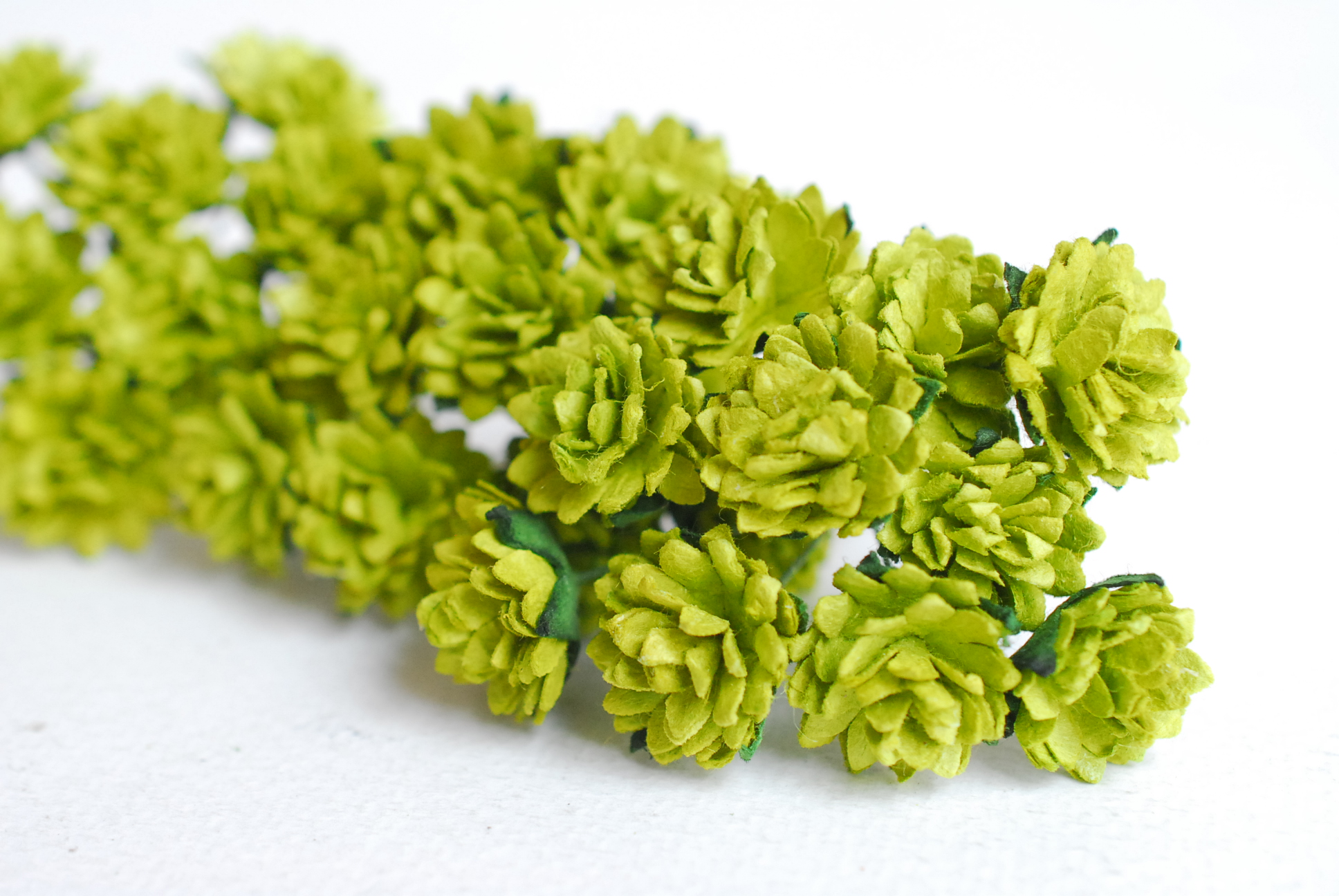 ดอกไม้ประดิษฐ์, ดอกไม้กระดาษสา, ดอก gypsophila, ดอกยิปโซ งานประดิษฐ์ตกแต่งของชำร่วย, ดอกไม้ทำพานพุ่ม,พานพวงมาลัย, พานรับไหว้, ขนาด 1.5 cm. สีเขียว สำเนา