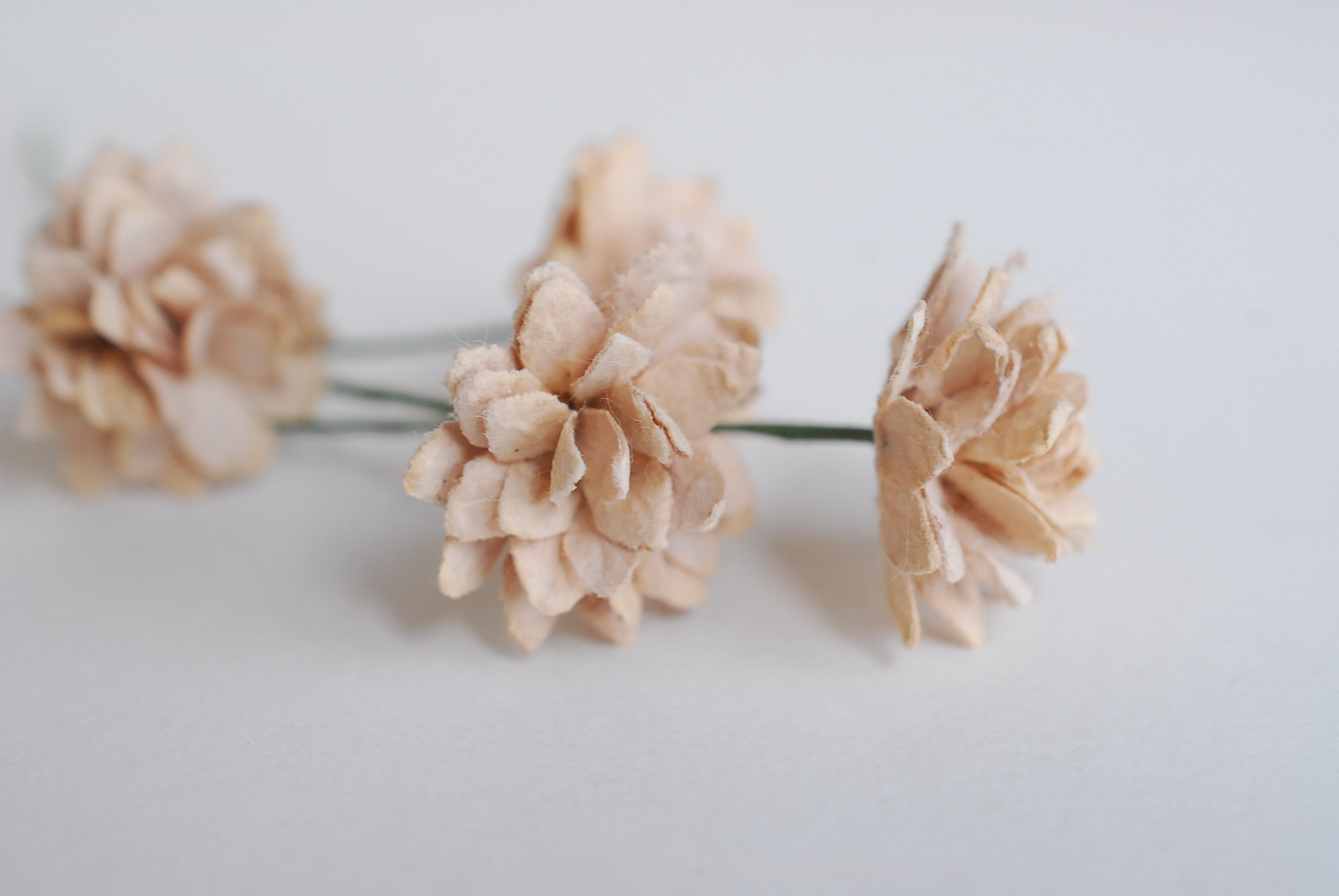 ดอกไม้ประดิษฐ์, ดอกไม้กระดาษสา, ดอก gypsophila, ดอกยิปโซ งานประดิษฐ์ตกแต่งของชำร่วย, ดอกไม้ทำพานพุ่ม,พานพวงมาลัย, พานรับไหว้, ขนาด 2 cm. สีน้ำตาลอ่อน