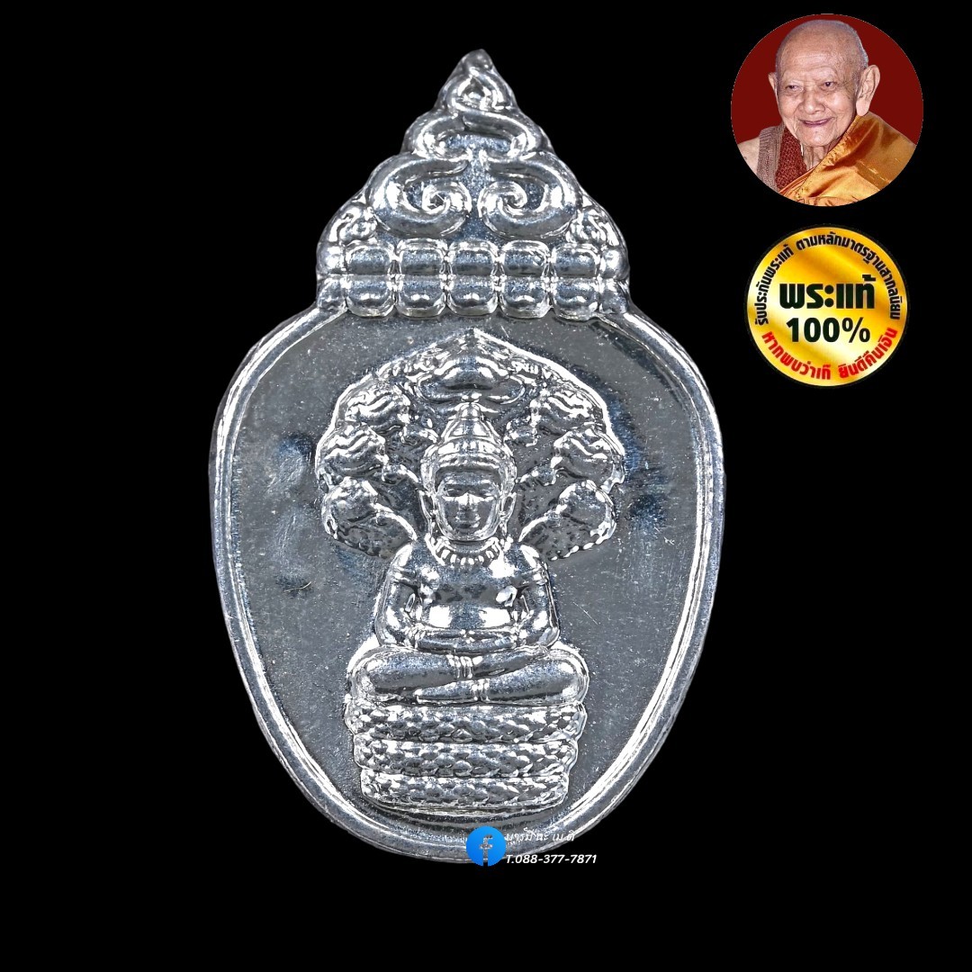 เหรียญนาคปรก๙๖ หลังหลวงปู่หงษ์