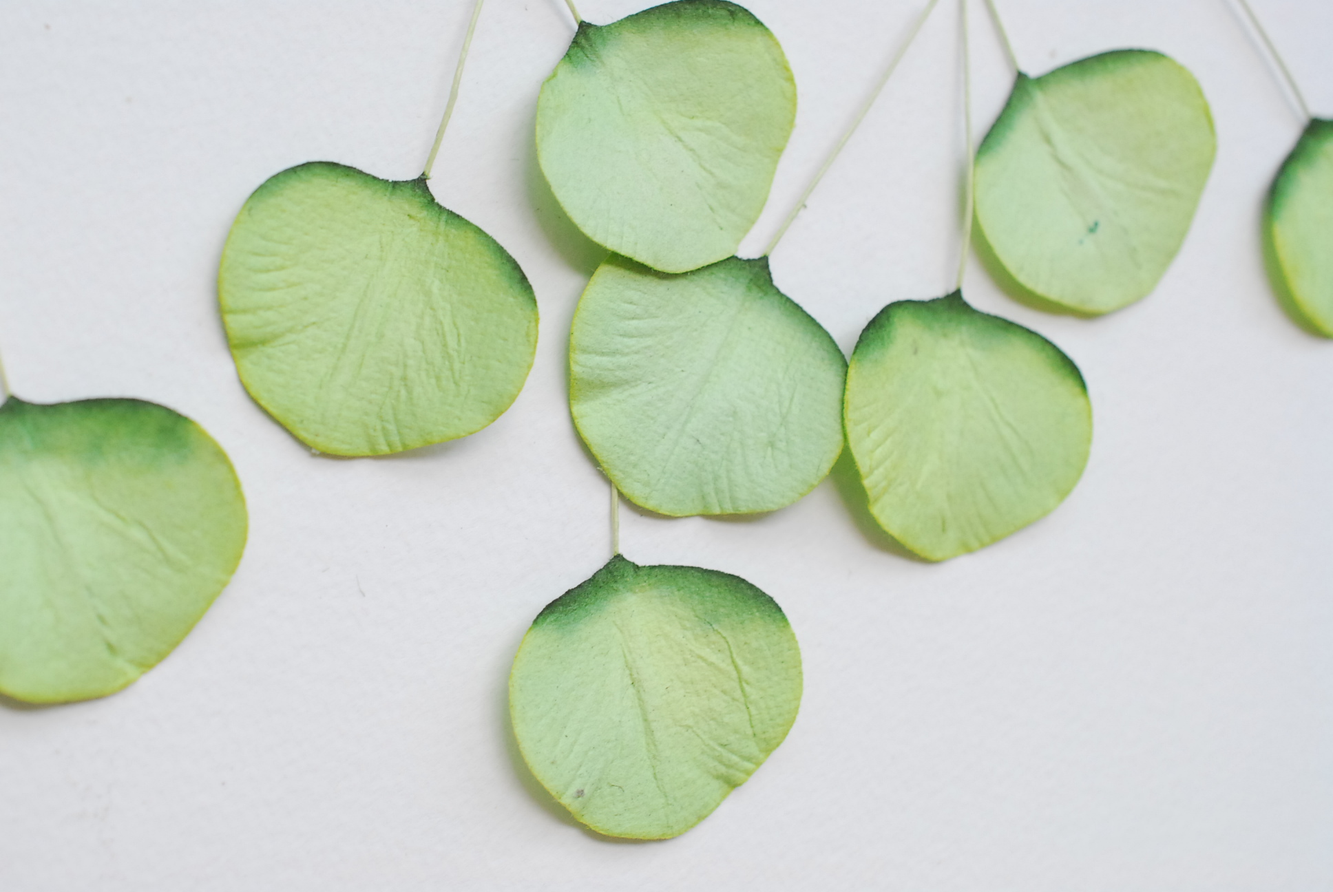 ใบไม้กระดาษ orbicular leaves ใบไม้กระดาษสา ราคาส่ง,ใบไม่้กลม กระดาษ สำหรับงานประดิษฐ์ ใบไม้ประดิษฐ์ สำหรับตกแต่ง หรืองานแต่งงาน สีเขียวสดปัดสีเข้ม ขนาด 3x3 cm. จำนวน 50 ใบ