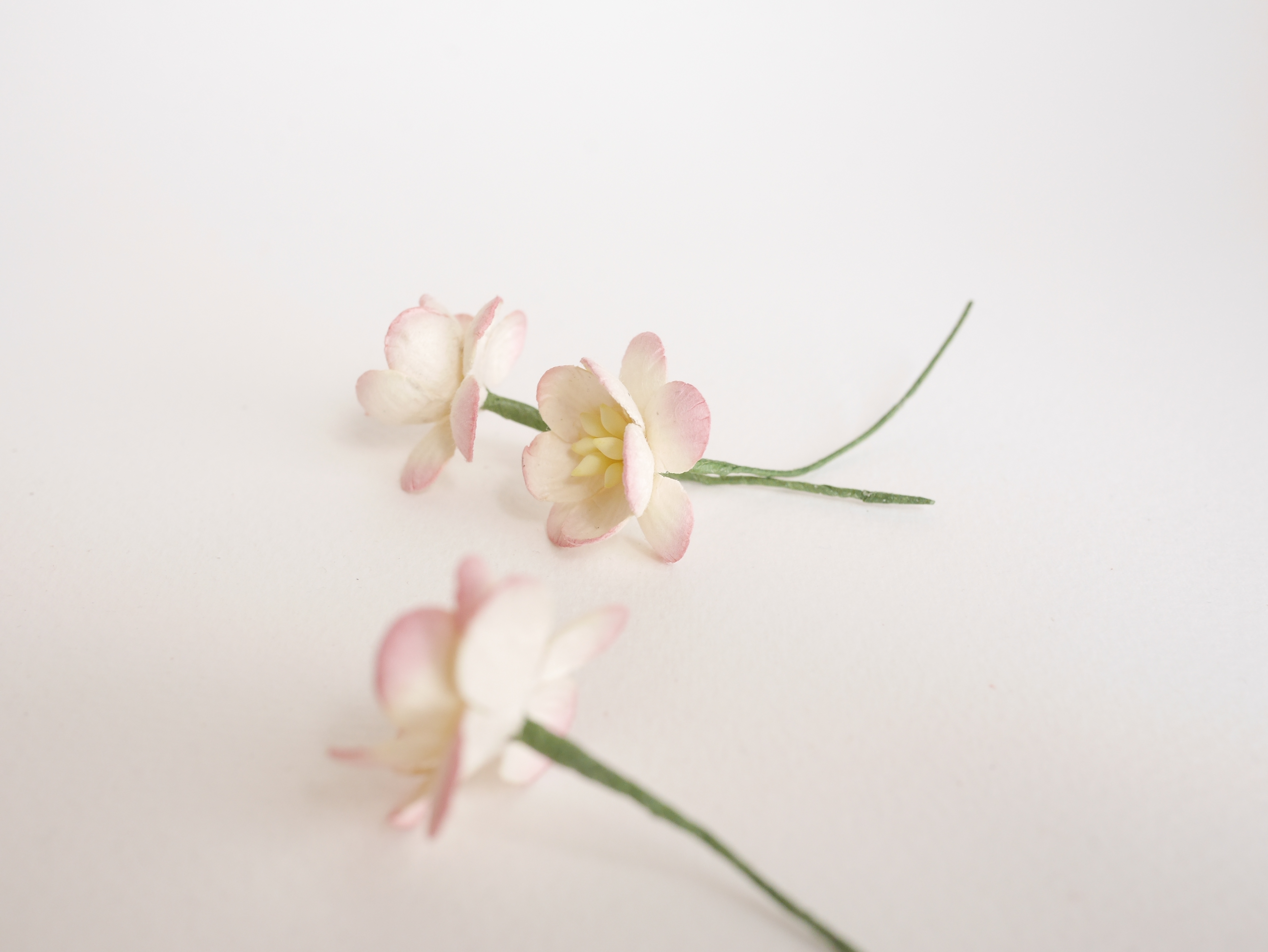 ดอกไม้กระดาษสา ดอกซากุระกระดาษ ดอกไม้กระดาษสาราคาส่ง ดอกไม้กระดาษสำหรับตกแต่งของชำร่วย งานแต่งงาน ทำช่อดอกไม้ติดอกเจ้าบ่าว ข้อมือดอกไม้เจ้าสาว ขนาด2.5 cm. 50 ดอก สีเบอรี่ปัดครีม Paper flowers supplies: DIY wedding tools Cherry blossom (Sakura) 50 pcs. siz