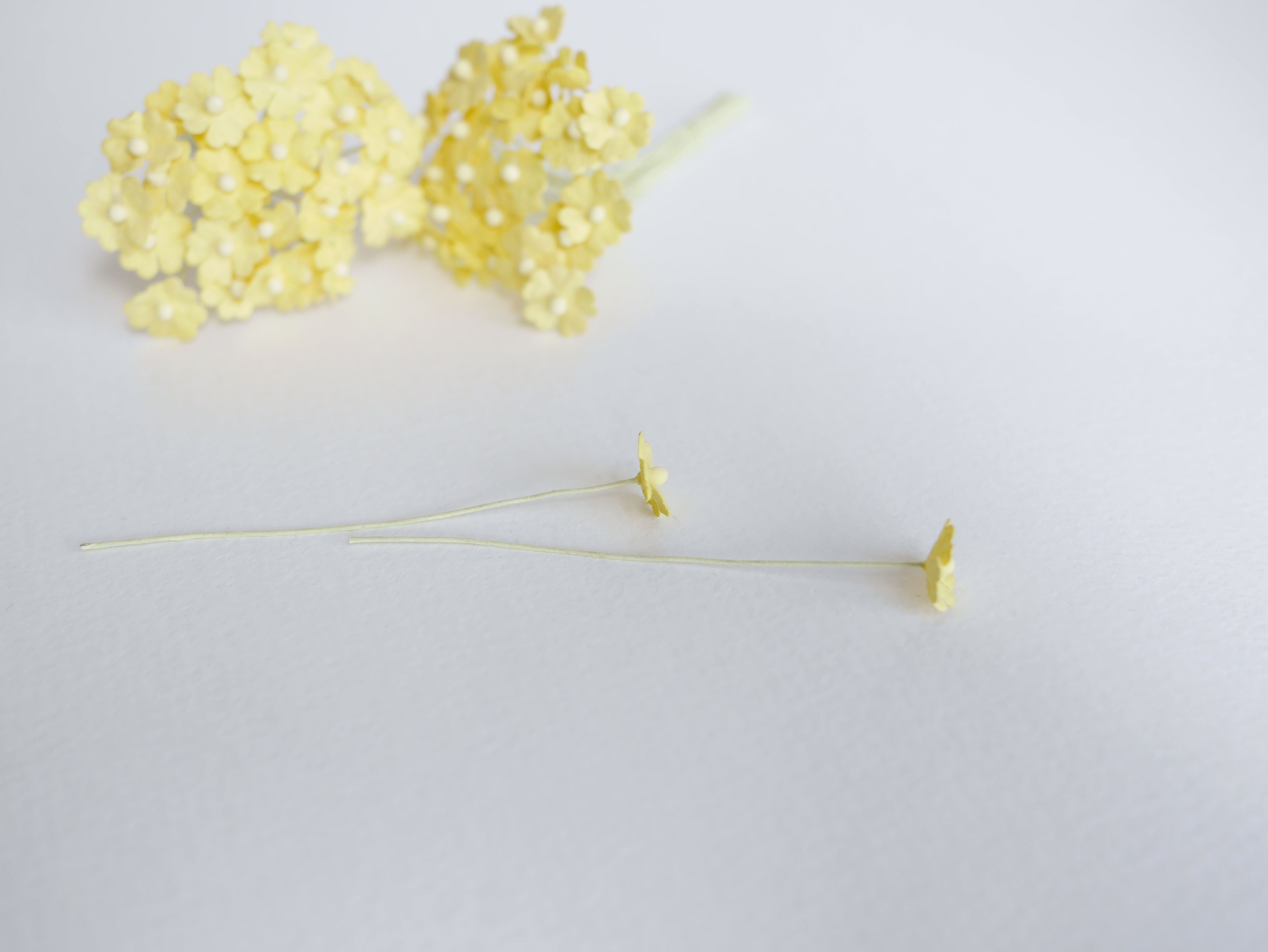 ดอกไม้กระดาษสา ดอกไม้กระดาษสาราคาส่ง ดอกไม้กระดาษสำหรับตกแต่ง งานแต่งงาน หรือติดของชำร่วย ดอกไม้จิ๋ว 100 ดอก ขนาด 1 cm. สีเหลือง Small Paper Flower with stem, , 100 pcs., size 1 cm., small creeping ladies flowers 1 layer, yellow color.