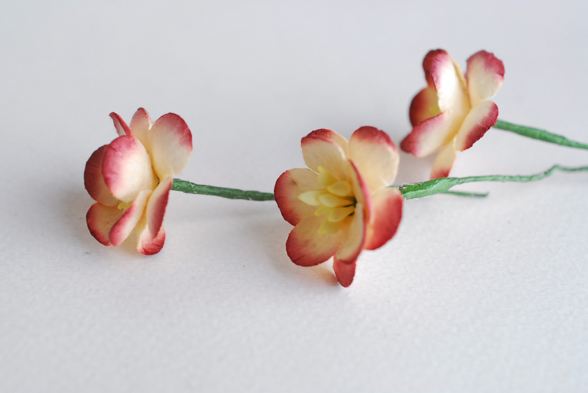 ดอกไม้กระดาษสา ดอกไม้กระดาษสาราคาส่ง ดอกไม้กระดาษสำหรับตกแต่งของชำร่วย งานแต่งงาน ทำช่อดอกไม้ติดอกเจ้าบ่าว ข้อมือดอกไม้เจ้าสาว ขนาด2.5 cm. 50 ดอก Paper flowers supplies: DIY wedding tools Cherry blossom (Sakura) 50 pcs. size 2.5 cm. Ivory brush dark red c