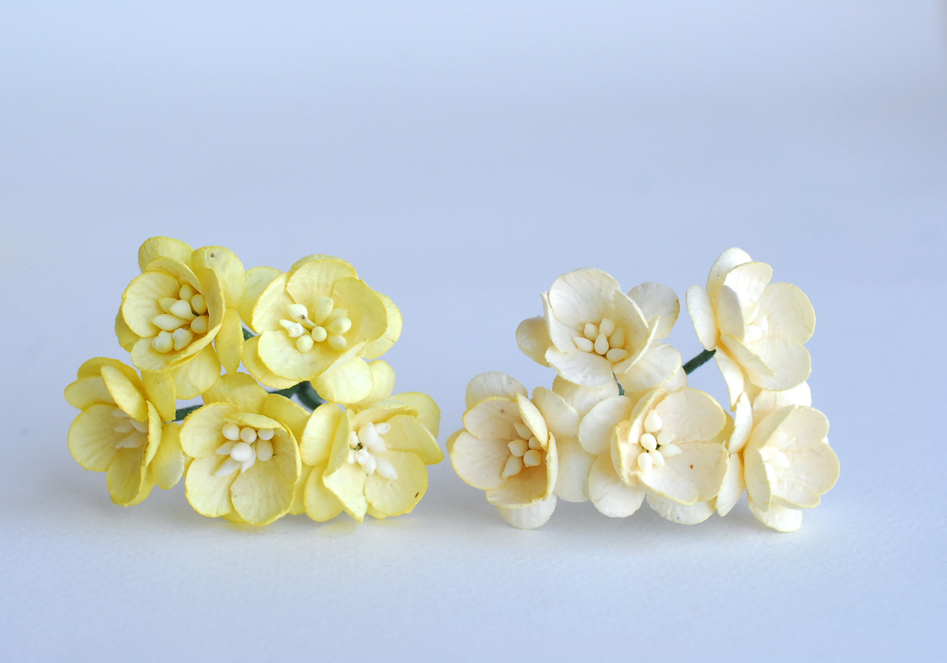 mixed ดอกไม้กระดาษสา ดอกไม้กระดาษสาราคาส่ง ดอกไม้กระดาษสำหรับตกแต่งของชำร่วย งานแต่งงาน ทำช่อดอกไม้ติดอกเจ้าบ่าว ข้อมือดอกไม้เจ้าสาว ขนาด2.5 cm. 50 ดอก สีครีมและสีเหลือง Paper flowers supplies: DIY wedding tools Cherry blossom (Sakura) 50 pcs. size 2.5 cm