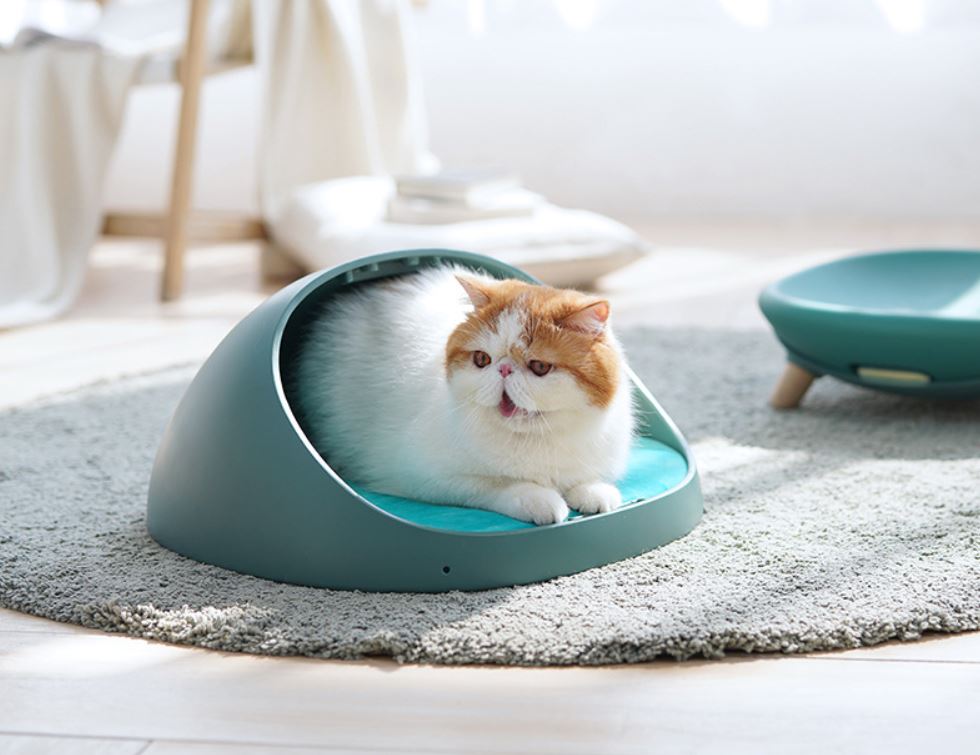 [1100] Sofa bed pet เตียงแมว เปลี่ยนได้หลายแบบ ใส่น้ำร้อนได้ สุดฟิน