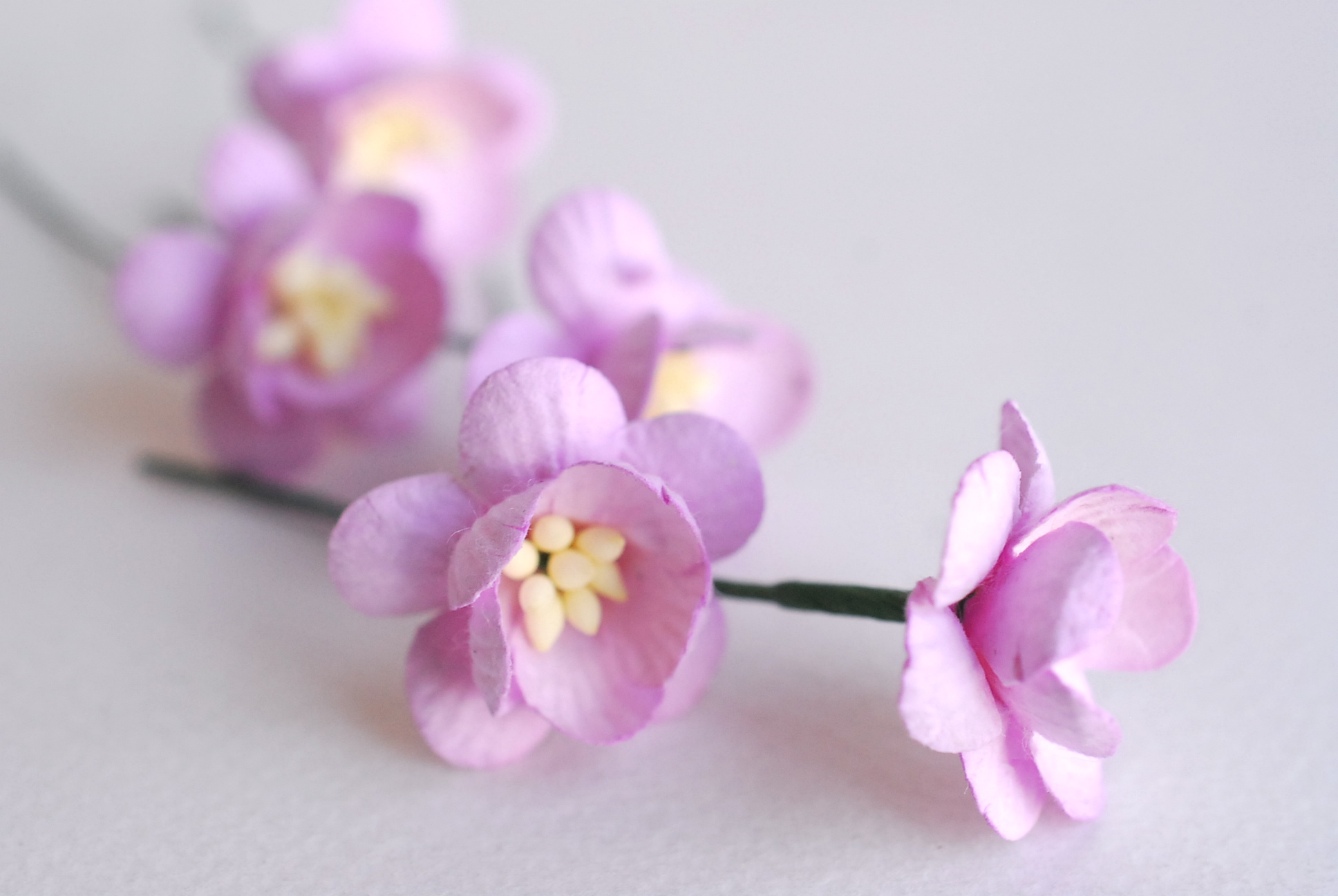 ดอกไม้กระดาษสา ดอกซากุระกระดาษ ดอกไม้กระดาษสาราคาส่ง ดอกไม้กระดาษสำหรับตกแต่งของชำร่วย งานแต่งงาน ทำช่อดอกไม้ติดอกเจ้าบ่าว ข้อมือดอกไม้เจ้าสาว ขนาด2.5 cm. 50 ดอก สีม่วงอ่อน Paper flowers supplies: DIY wedding tools Cherry blossom (Sakura) 50 pcs. size 2.5