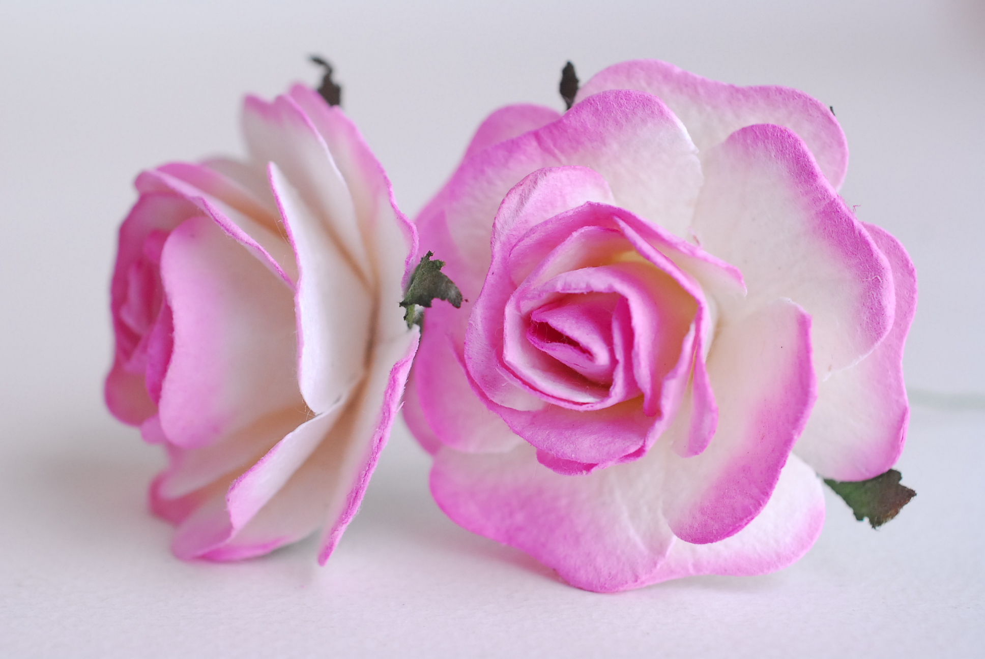 ดอกไม้กระดาษสา,paper flowers ดอกไม้ประดิษฐ์ ดอกไม้กระดาษสำหรับตกแต่ง สำหรับของชำร่วย, งานแต่งงาน, ดอกกุหลาบ PUL4-4 N ขนาด 4.5 cm. สีชมพูปัดขาวcode color518