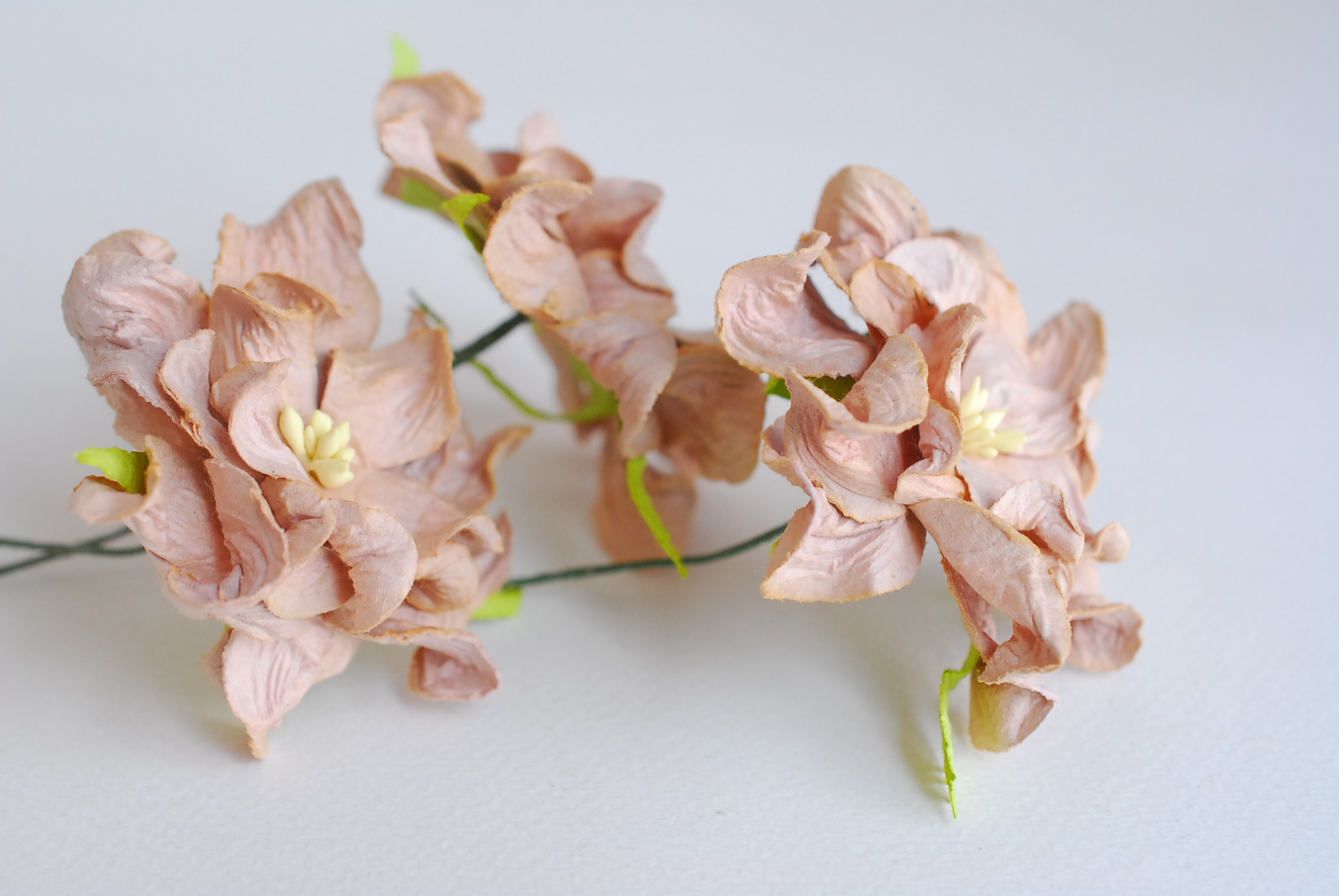 ดอกไม้กระดาษสา ราคาส่ง, ดอกการเดนเนียกระดาษสา ดอกไม้ประดิษฐ์ ตกแต่งงานแต่งงาน ประดิษฐ์ข้อมือเพื่อนเจ้าสาว ขนา่ด 5.5 cm., สำหรับของชำร่วย, งานแต่งงาน, ดอกไม้ทำข้อมือเจ้าสาว สีน้ำตาล จำนวน 25 ดอก Paper flower,25 Pieces mulberry gardenia flowers supplies