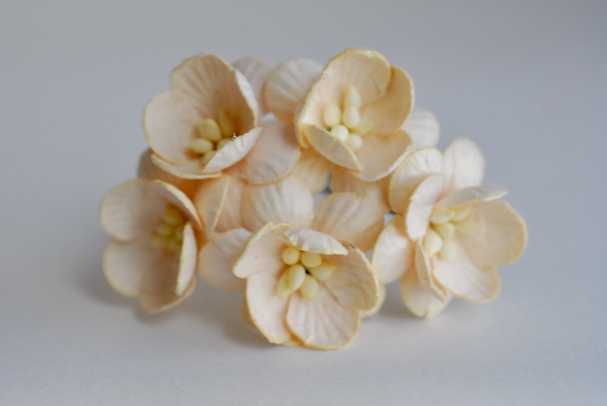 ดอกไม้กระดาษสา ดอกไม้กระดาษสาราคาส่ง ดอกไม้กระดาษสำหรับตกแต่งของชำร่วย งานแต่งงาน ทำช่อดอกไม้ติดอกเจ้าบ่าว ข้อมือดอกไม้เจ้าสาว ขนาด2.5 cm. 50 ดอก สีเบจ Paper flowers supplies: DIY wedding tools Cherry blossom (Sakura) 50 pcs. size 2.5 cm. beige color.