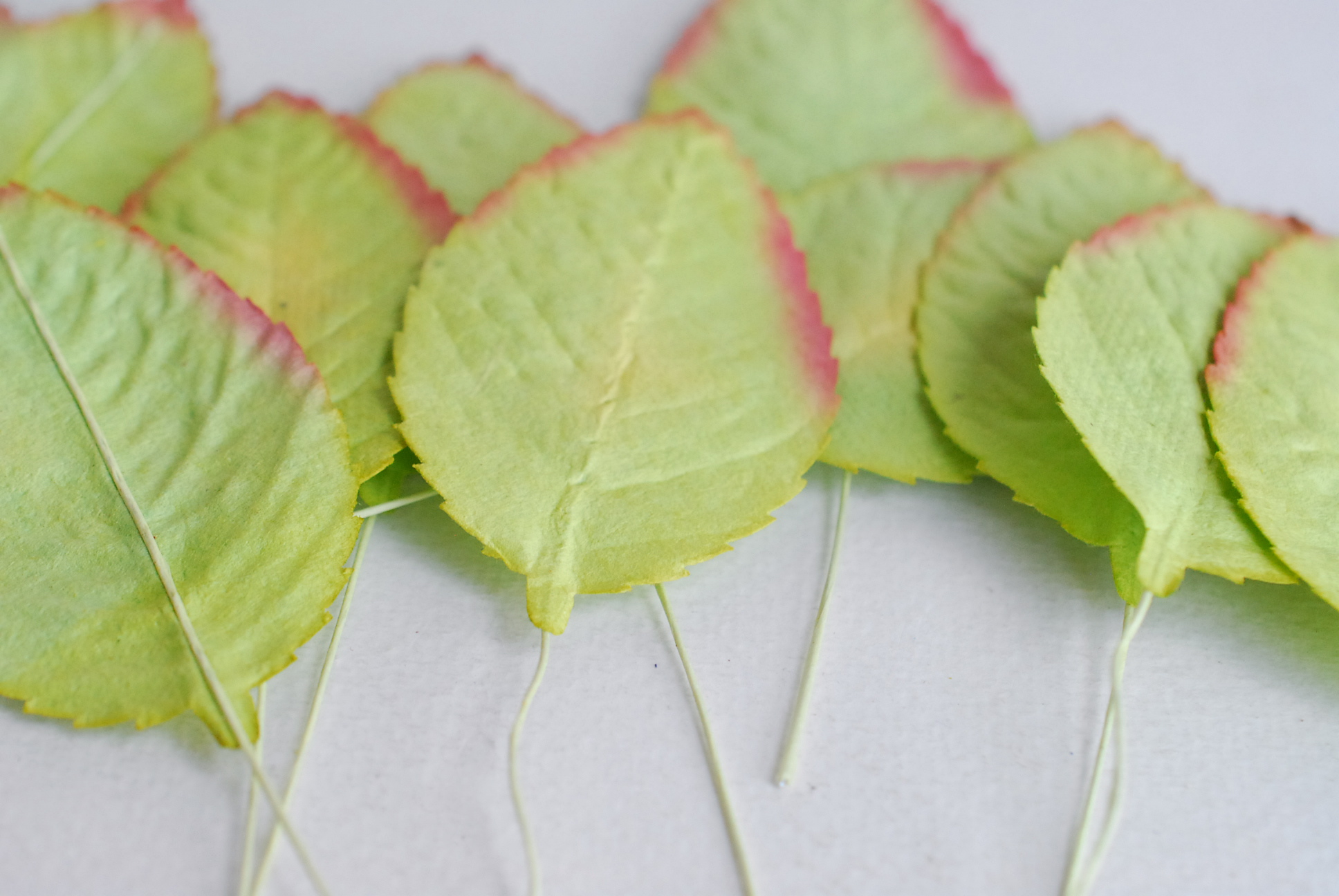 ใบไม้กระดาษ ใบไม้กระดาษสา ราคาส่ง,ใบไม่้กุหลาบกระดาษ สำหรับดอกกุหลาบกระดาษสา ใบไม้ประดิษฐ์ สำหรับตกแต่ง หรืองานแต่งงาน สีเขียวปัดแดง ขนาด6x4.5 cm. จำนวน 50 ใบ