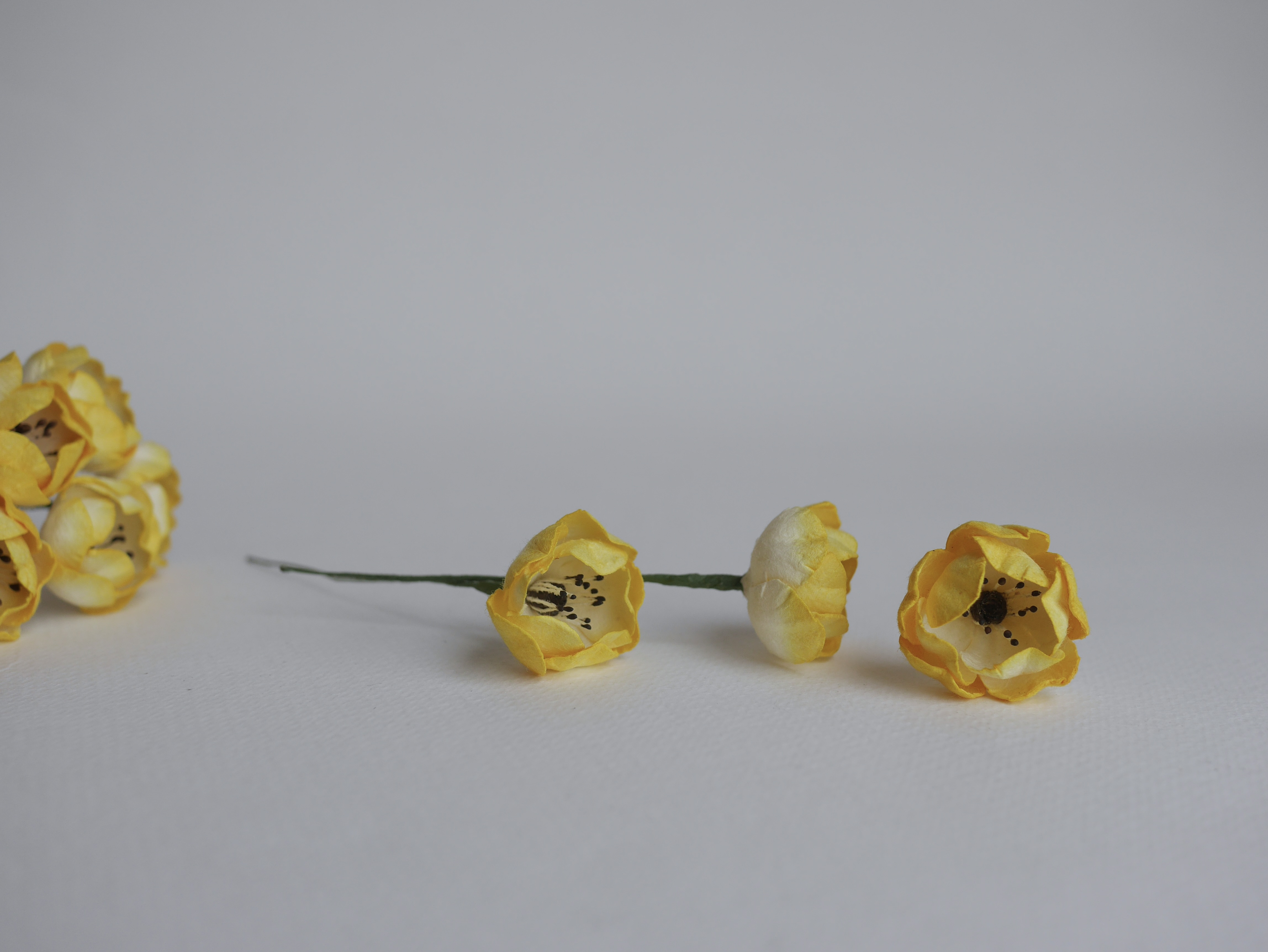 ดอกกุหลาบกระดาษสา peony ดอกไม้กระดาษสาราคาส่ง, ดอกไม้กระดาษ,ดอกไม้ประดิษฐ์ สำหรับตกแต่งของชำร่วย งานแต่งงาน ดอกกุหลาบกลม peony ขนาด 3.5 cm. จำนวน 25 ดอก, สีเหลืองปัด เกสรสีดำ Paper Flowers, Peony flowers supplies size 3.5cm./ 25 pieces, handmade flower