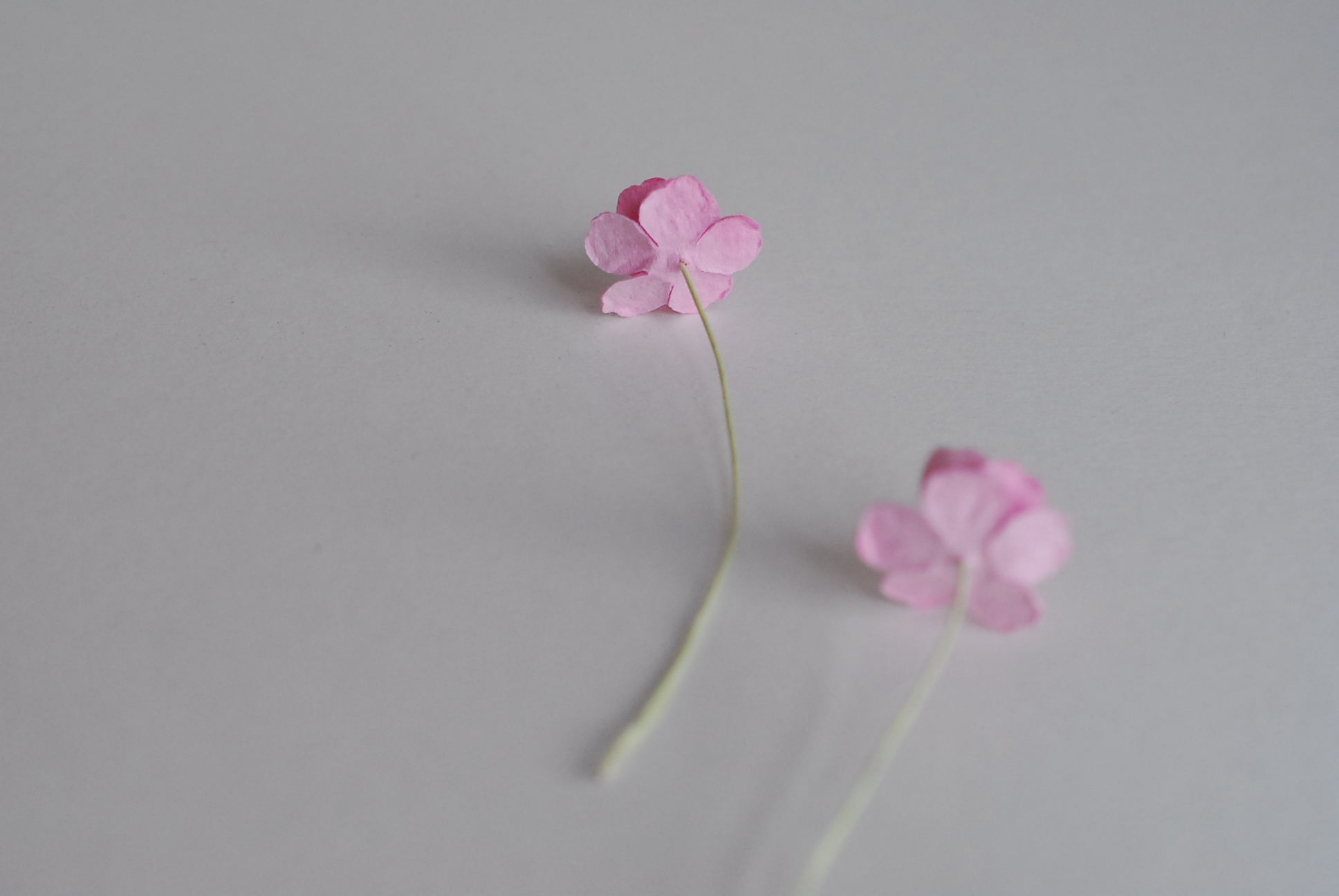 ดอกไม้กระดาษสา ราคาส่ง, ดอกไฮเดรนเยียกระดาษสา ดอกไม้ประดิษฐ์ ตกแต่งงานแต่งงาน ประดิษฐ์ข้อมือเพื่อนเจ้าสาว ขนาด 1.5 cm., สำหรับของชำร่วย, งานแต่งงาน, ดอกไม้ทำข้อมือเจ้าสาว สีชมพู จำนวน 100 ดอก Paper flower,100 Pieces mulberry hydenyia, pink color.