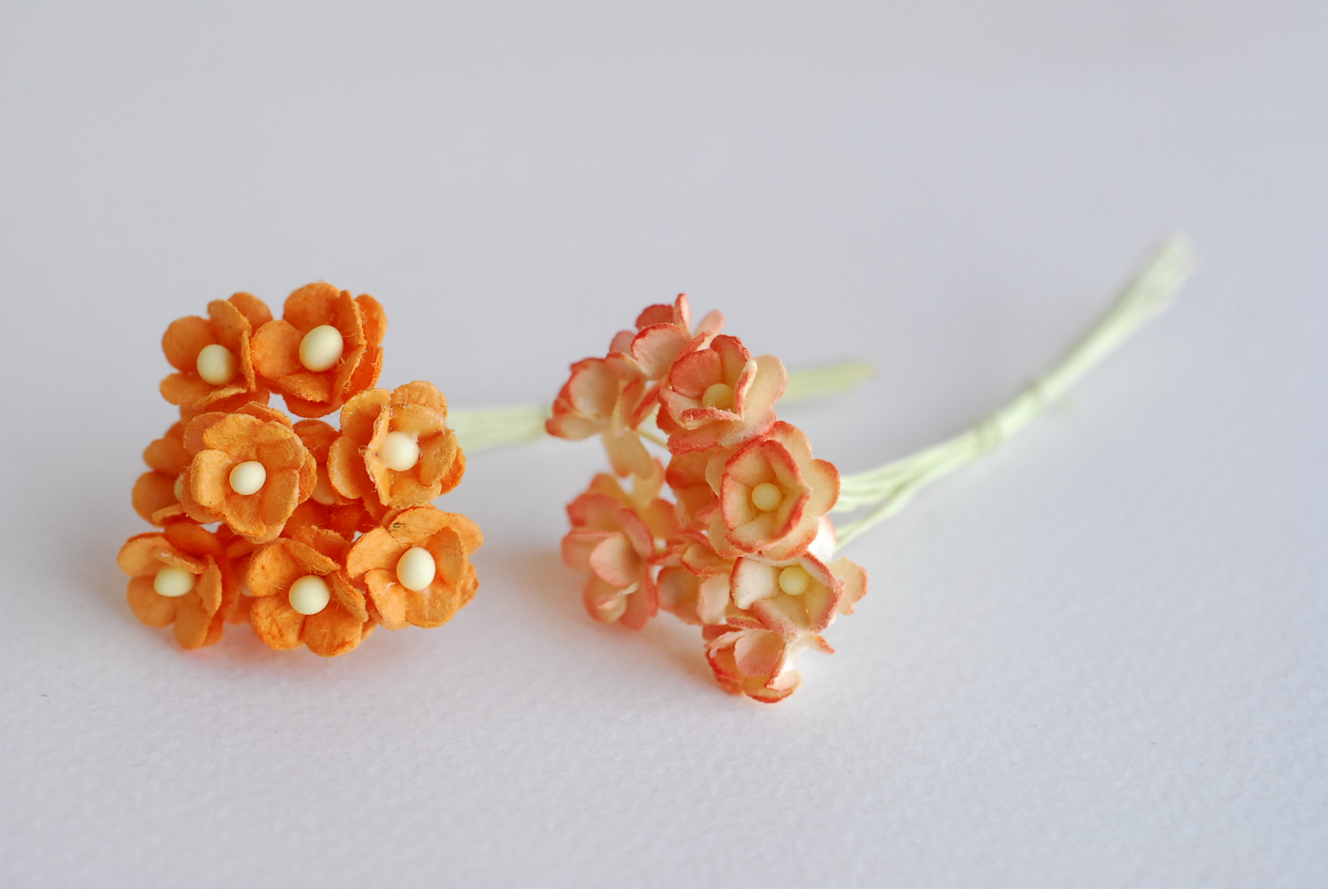 ดอกไม้กระดาษสา ดอกไม้กระดาษสาราคาส่ง ดอกไม้กระดาษสำหรับตกแต่ง งานแต่งงาน หรือติดของชำร่วย ดอก creeping lady 100 ดอก ขนาด 0.8 cm. คละสีพาสเทล Small Paper Flower with stem, , 100 pcs., size 0.8 cm., creeping flowers 2 layers, pastel mixed rainbow color.