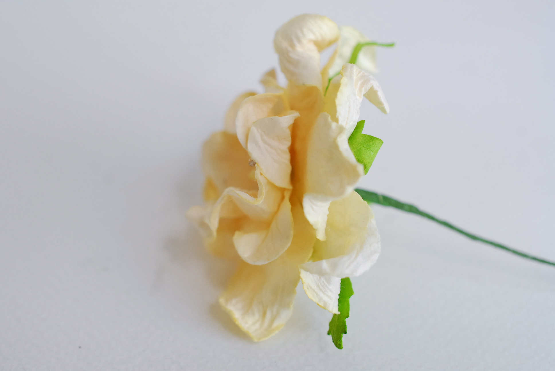 ดอกไม้กระดาษสา ราคาส่ง, ดอกการเดนเนียกระดาษสา ดอกไม้ประดิษฐ์ ตกแต่งงานแต่งงาน ประดิษฐ์ข้อมือเพื่อนเจ้าสาว ขนา่ด 5.5 cm., สำหรับของชำร่วย, งานแต่งงาน, ดอกไม้ทำข้อมือเจ้าสาว สีครีม จำนวน 25 ดอก Paper flower,25 Pieces mulberry gardenia flowers suppiles