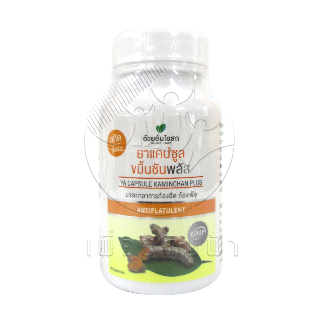 [Herbal One] อ้วยอัน ขมิ้นชันพลัสแคปซูลสกัดเข้มข้น แก้ท้องอืดท้องเฟ้อ (60แคปซูล)