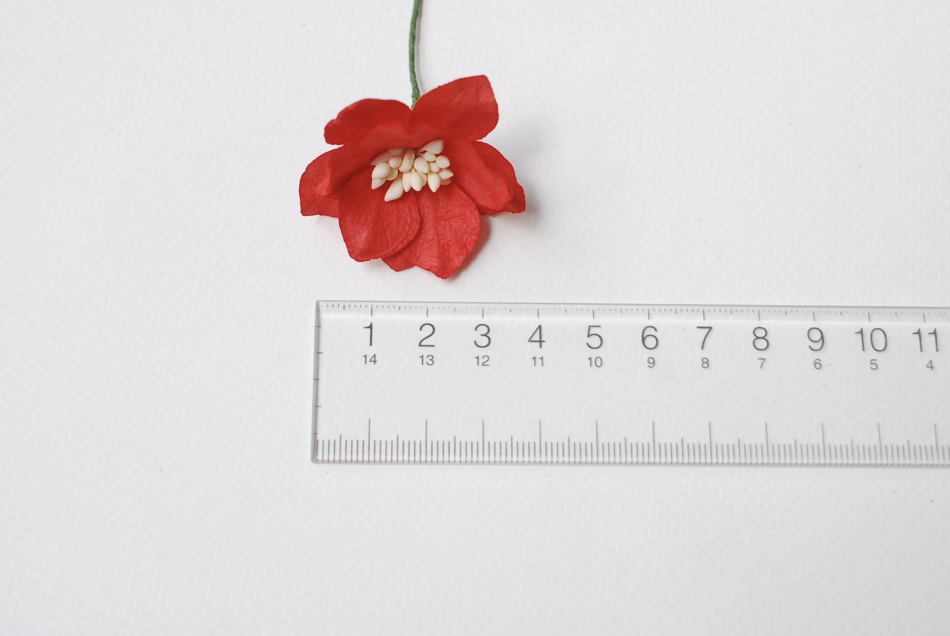 ดอกไม้กระดาษสา ดอกโลตัสอินโดนิเซียกระดาษ ดอกไม้กระดาษสาราคาส่ง ดอกไม้กระดาษสำหรับตกแต่งของชำร่วย งานแต่งงาน ทำช่อดอกไม้ติดอกเจ้าบ่าว ข้อมือดอกไม้เจ้าสาว ขนาด3.5 cm. 25 ดอก สีแดง Paper flowers supplies: DIY wedding supplies Big Cherry blossom red color.