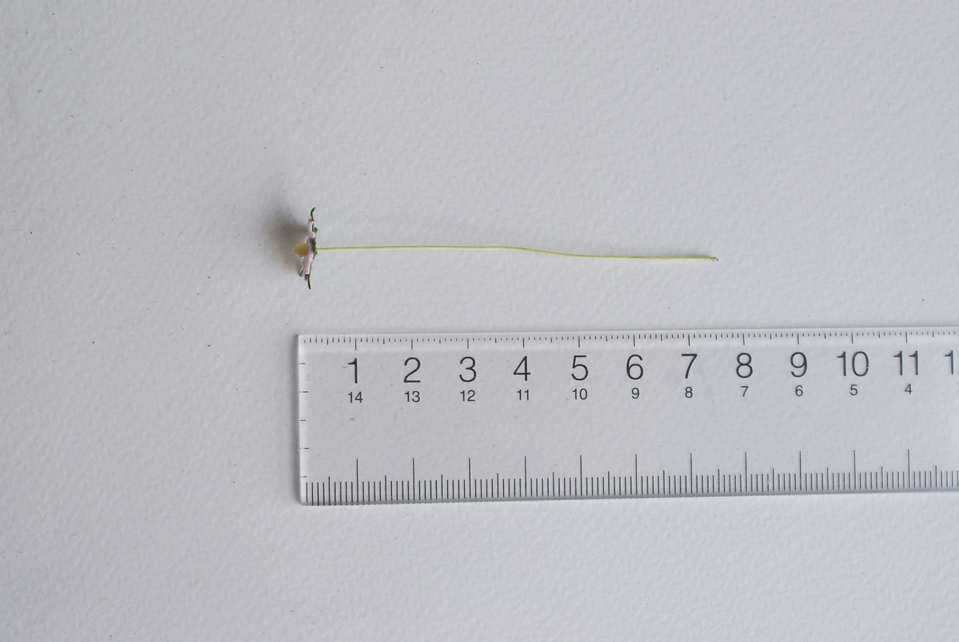 ดอกไม้กระดาษสา ดอกไม้กระดาษสาราคาส่ง ดอกไม้กระดาษสำหรับตกแต่ง งานแต่งงาน หรือติดของชำร่วย ดอกเดซี่ 100 ดอก ขนาด 0.8 cm. สีชมพูอ่อนปัด Small Paper Flower with stem, 100 pcs., size 0.8 cm., daisy flowers 2 layers, soft pink brush color.