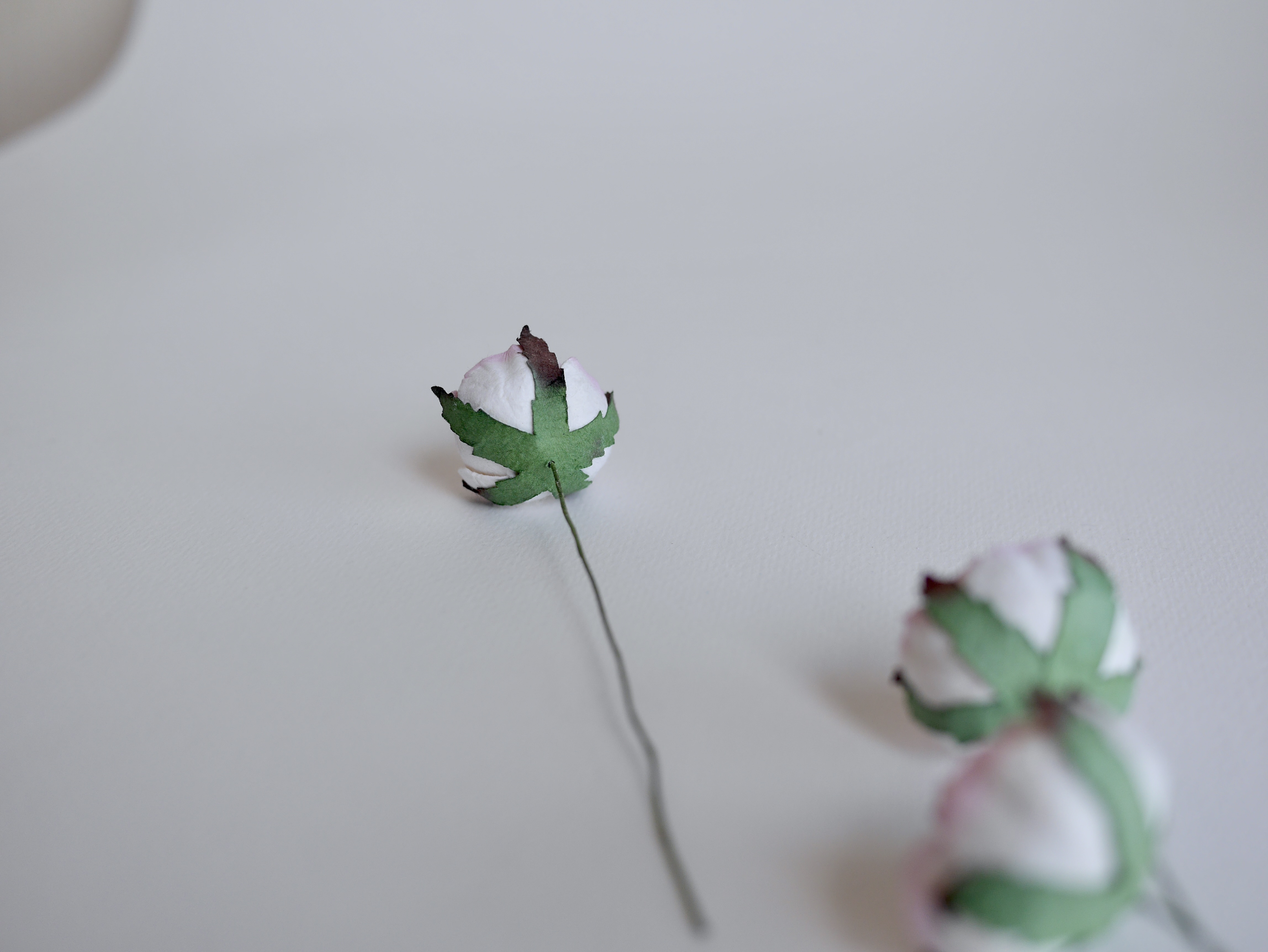 ดอกกุหลาบกระดาษสา peony ดอกไม้กระดาษสาราคาส่ง, ดอกไม้กระดาษ,ดอกไม้ประดิษฐ์ สำหรับตกแต่งของชำร่วย งานแต่งงาน ดอกกุหลาบกลม peony ขนาด 3.5 cm. จำนวน 25 ดอก, สีชมพูปัดสีขาว Paper Flowers, Peony flowers supplies size 3.5cm./ 25 pieces, handmade flowers. pink b