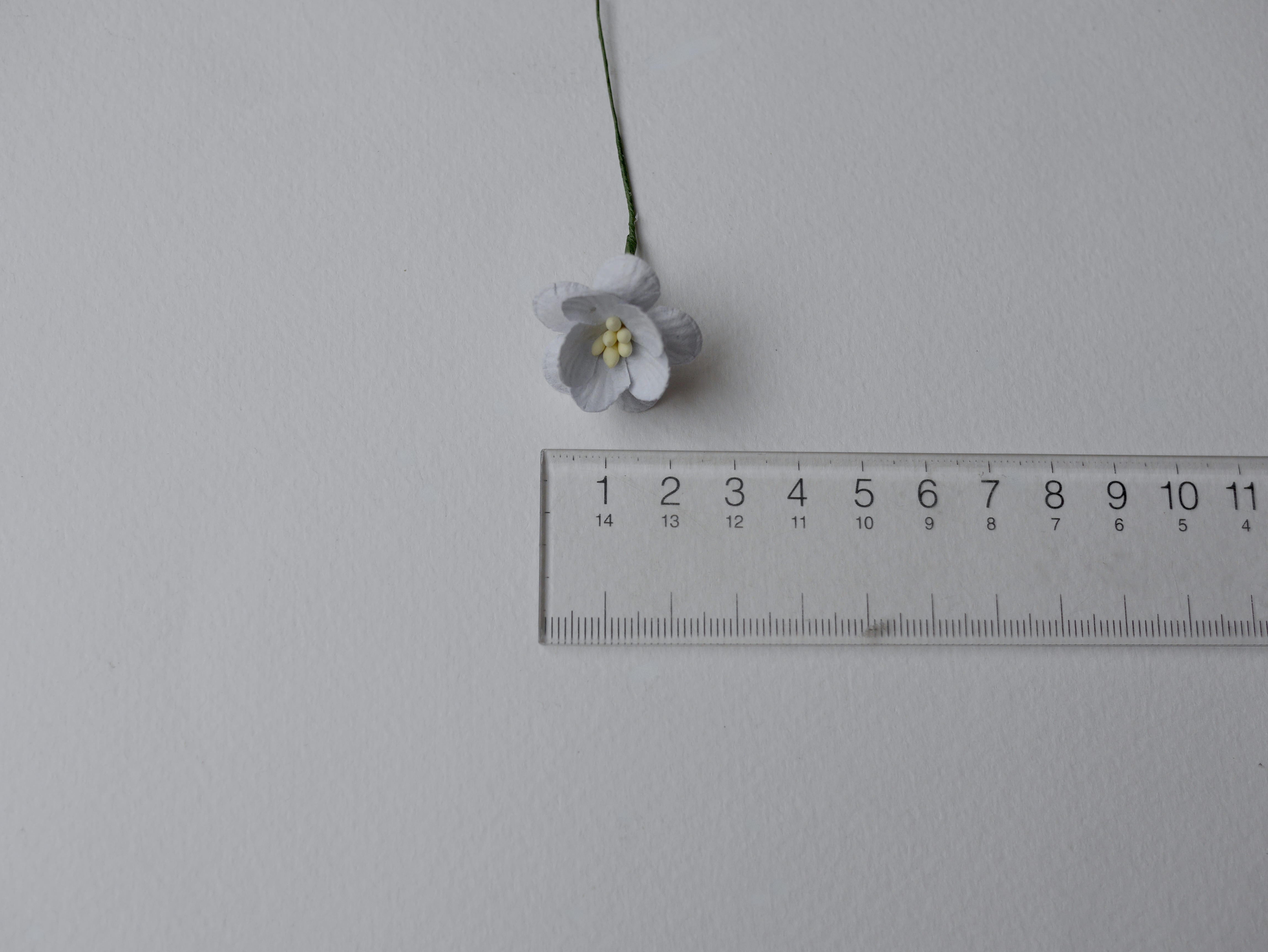 ดอกไม้กระดาษสา ดอกซากุระกระดาษ ขนาดเล็ก ดอกไม้กระดาษสาราคาส่ง ดอกไม้กระดาษสำหรับตกแต่งของชำร่วย งานแต่งงาน ทำช่อดอกไม้ติดอกเจ้าบ่าว ข้อมือดอกไม้เจ้าสาว ขนาด 2.5 cm. 50 ดอก สีเทาฟ้าตุ่น Paper flowers supplies: DIY wedding tools small Cherry blossom (Sakura