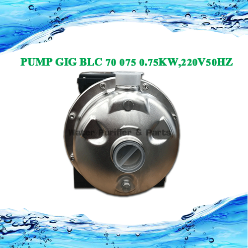 PUMP GIG BLC 70 075 0.75KW,220V50HZ