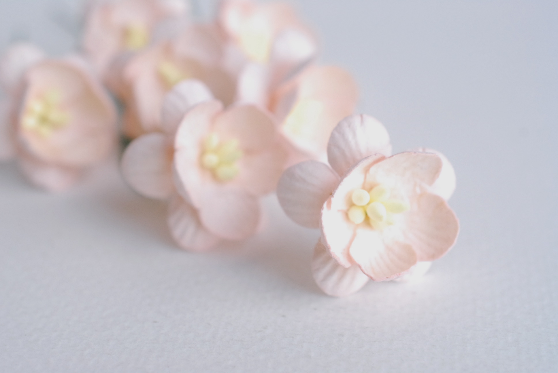 ดอกไม้กระดาษสา ดอกซากุระกระดาษ ดอกไม้กระดาษสาราคาส่ง ดอกไม้กระดาษสำหรับตกแต่งของชำร่วย งานแต่งงาน ทำช่อดอกไม้ติดอกเจ้าบ่าว ข้อมือดอกไม้เจ้าสาว ขนาด2.5 cm. 50 ดอก Paper flowers supplies: DIY wedding tools Cherry blossom (Sakura) 50 pcs. size 2.5 cm.