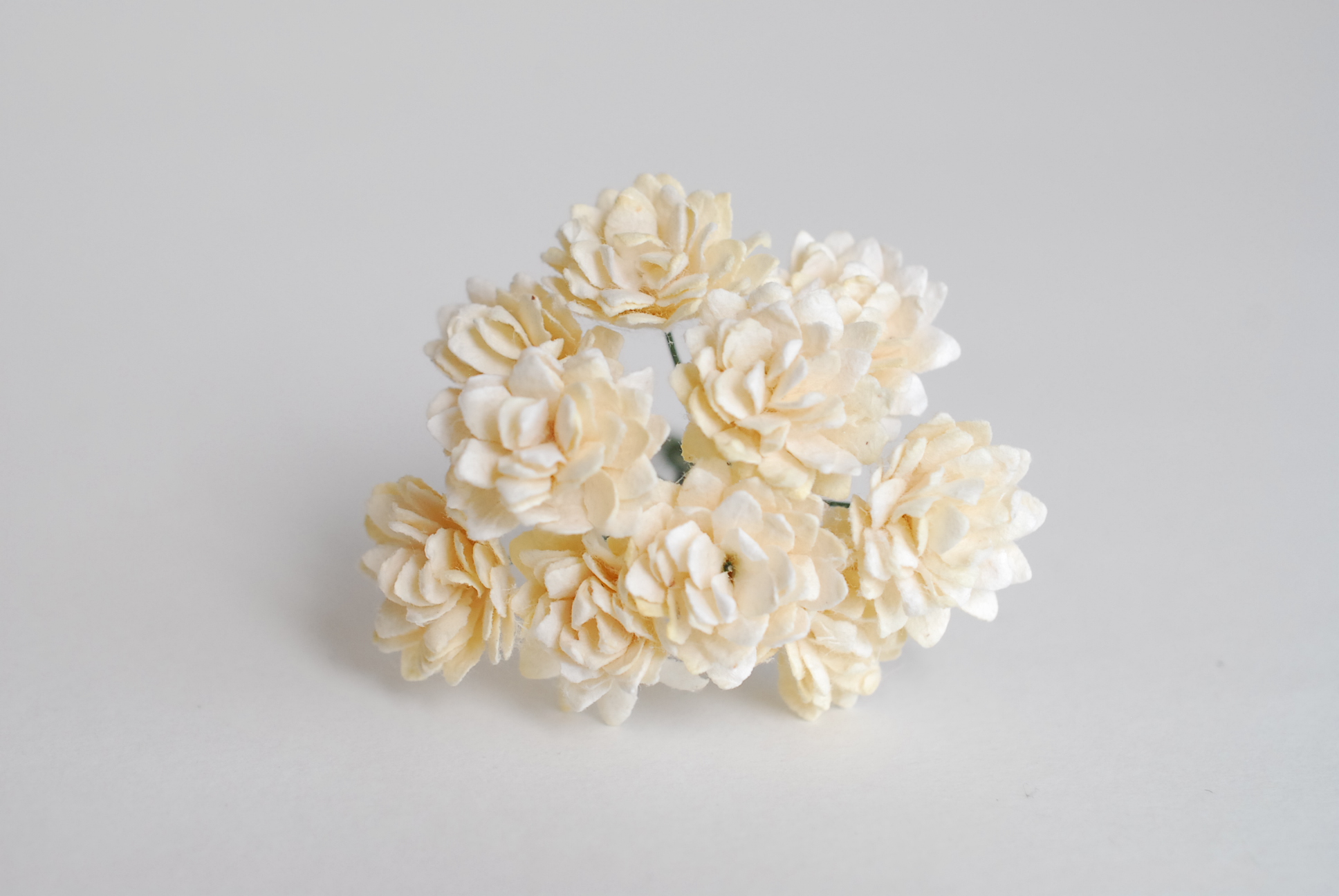 ดอกไม้ประดิษฐ์, ดอกไม้กระดาษสา, ดอก gypsophila, ดอกยิปโซ งานประดิษฐ์ตกแต่งของชำร่วย, ดอกไม้ทำพานพุ่ม,พานพวงมาลัย, พานรับไหว้, ขนาด 2 cm. สีครีม