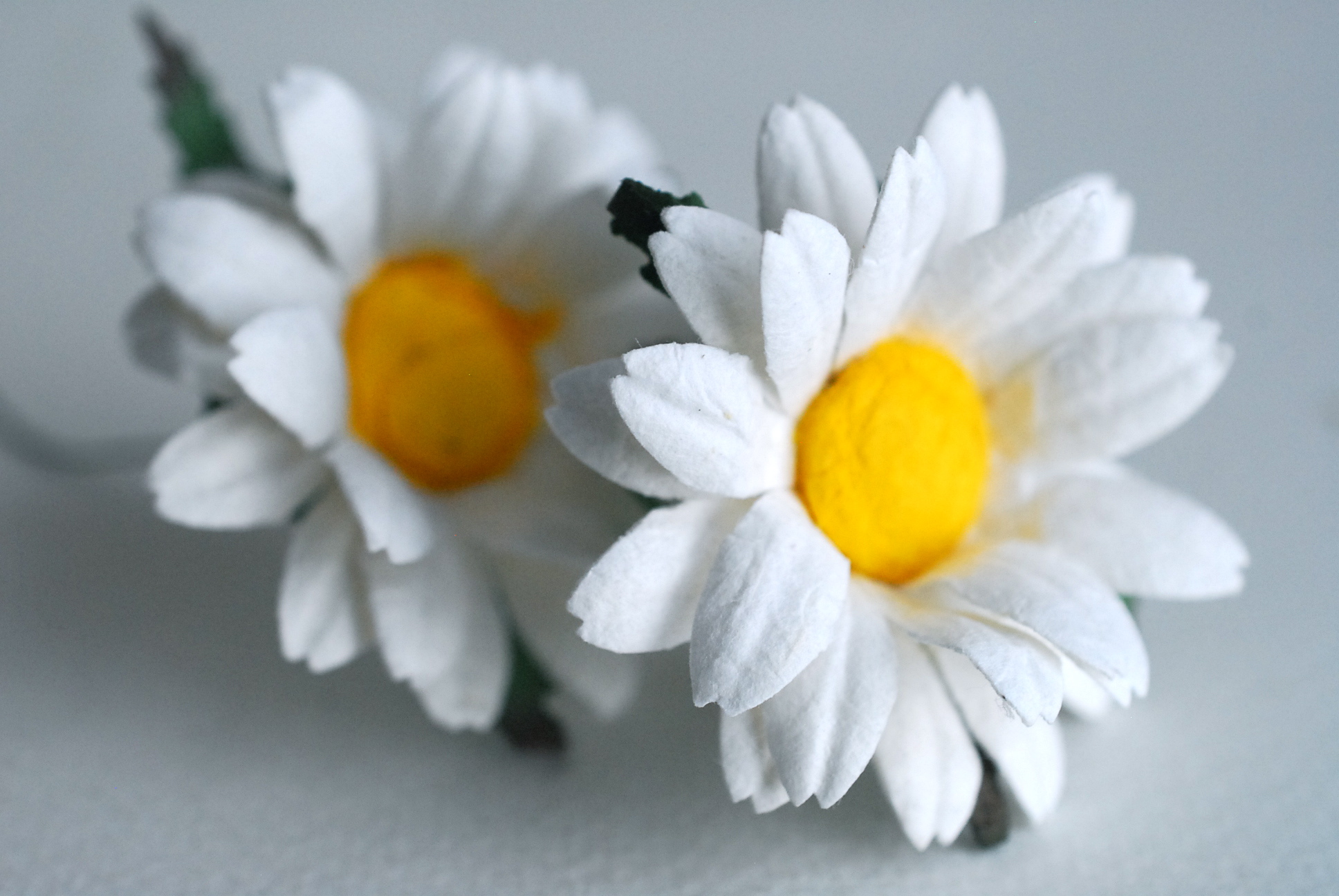 ดอกทานตะวันกระดาษ ดอกไม้กระดาษสา ดอกไม้ประดิษฐ์จากกระดาษสา ดอกทานตะวัน ดอกไม้กระดาษสาขายส่ง ดอกไม้ประดิษฐ์ ดอกไม้ทำข้อมือเพื่อนเจ้าสาว ขนาด 4.5 cm. จำนวน 25 ดอก สีขาว เกสรสีเหลือง Paper Flower, Sun Flowers, white color, size 4.5 cm 25pieces, yellow pollen