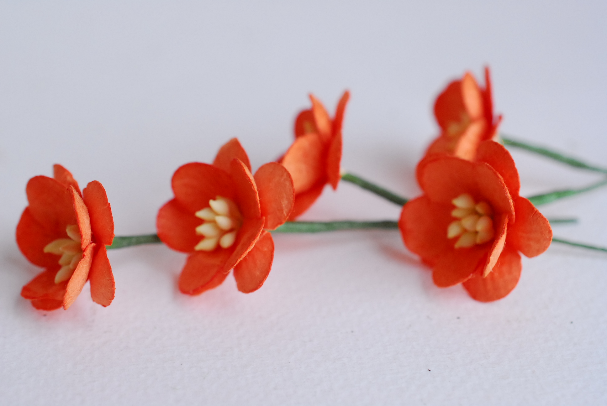 ดอกไม้กระดาษสา ดอกซากุระกระดาษสีส้ม ดอกไม้กระดาษสาราคาส่ง ดอกไม้กระดาษสำหรับตกแต่งของชำร่วย งานแต่งงาน ทำช่อดอกไม้ติดอกเจ้าบ่าว ข้อมือดอกไม้เจ้าสาว ขนาด2.5 cm. 50 ดอก Paper flowers supplies: DIY wedding tools Cherry blossom (Sakura) 50 pcs. size 2.5 cm.