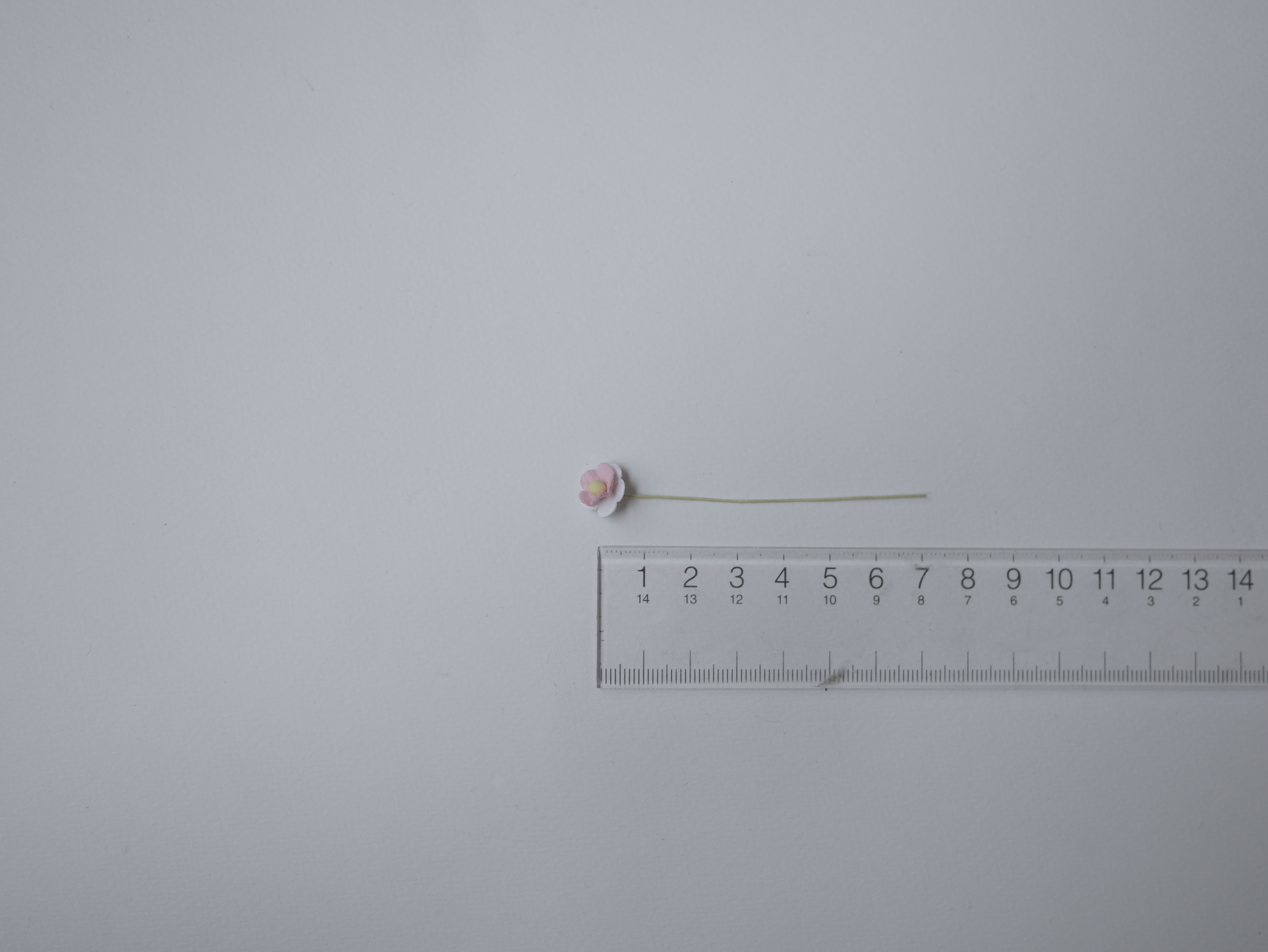 ดอกไม้กระดาษสา ดอกไม้กระดาษสาราคาส่ง ดอกไม้กระดาษสำหรับตกแต่ง งานแต่งงาน หรือติดของชำร่วย ดอก creeping lady 100 ดอก ขนาด 0.8 cm. สีชมพู-ขาว 2สี Small Paper Flower with stem, 100 pcs., size 0.8 cm., creeping flowers 2 layers, pink-white 2tone color