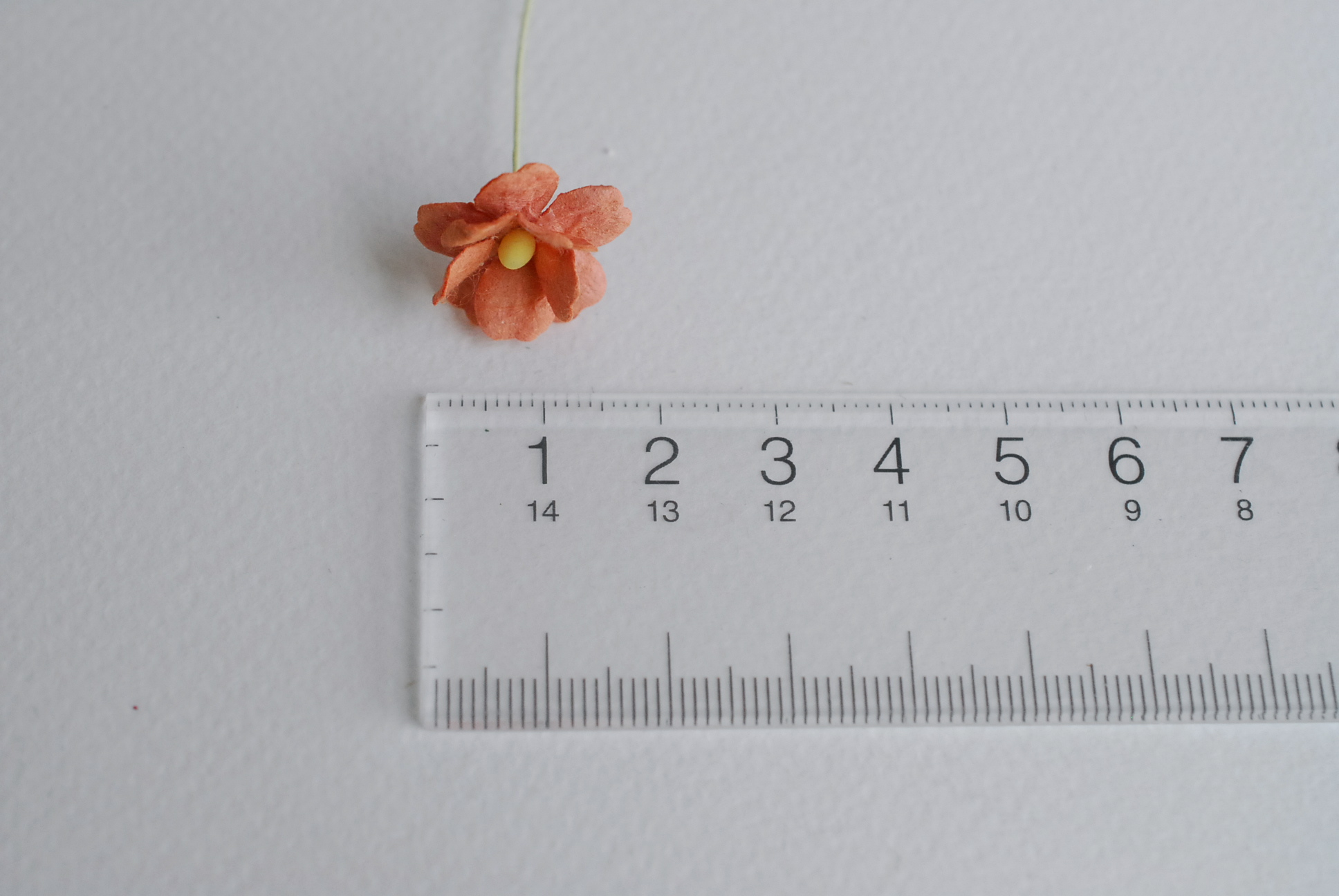 ดอกไม้กระดาษสา ราคาส่ง, ดอกไฮเดรนเยียกระดาษสา ดอกไม้ประดิษฐ์ ตกแต่งงานแต่งงาน ประดิษฐ์ข้อมือเพื่อนเจ้าสาว ขนา่ด 1.5 cm., สำหรับของชำร่วย, งานแต่งงาน, ดอกไม้ทำข้อมือเจ้าสาว สีน้ำตาล จำนวน 100 ดอก Paper flower,100 Pieces mulberry hydenyia brown color