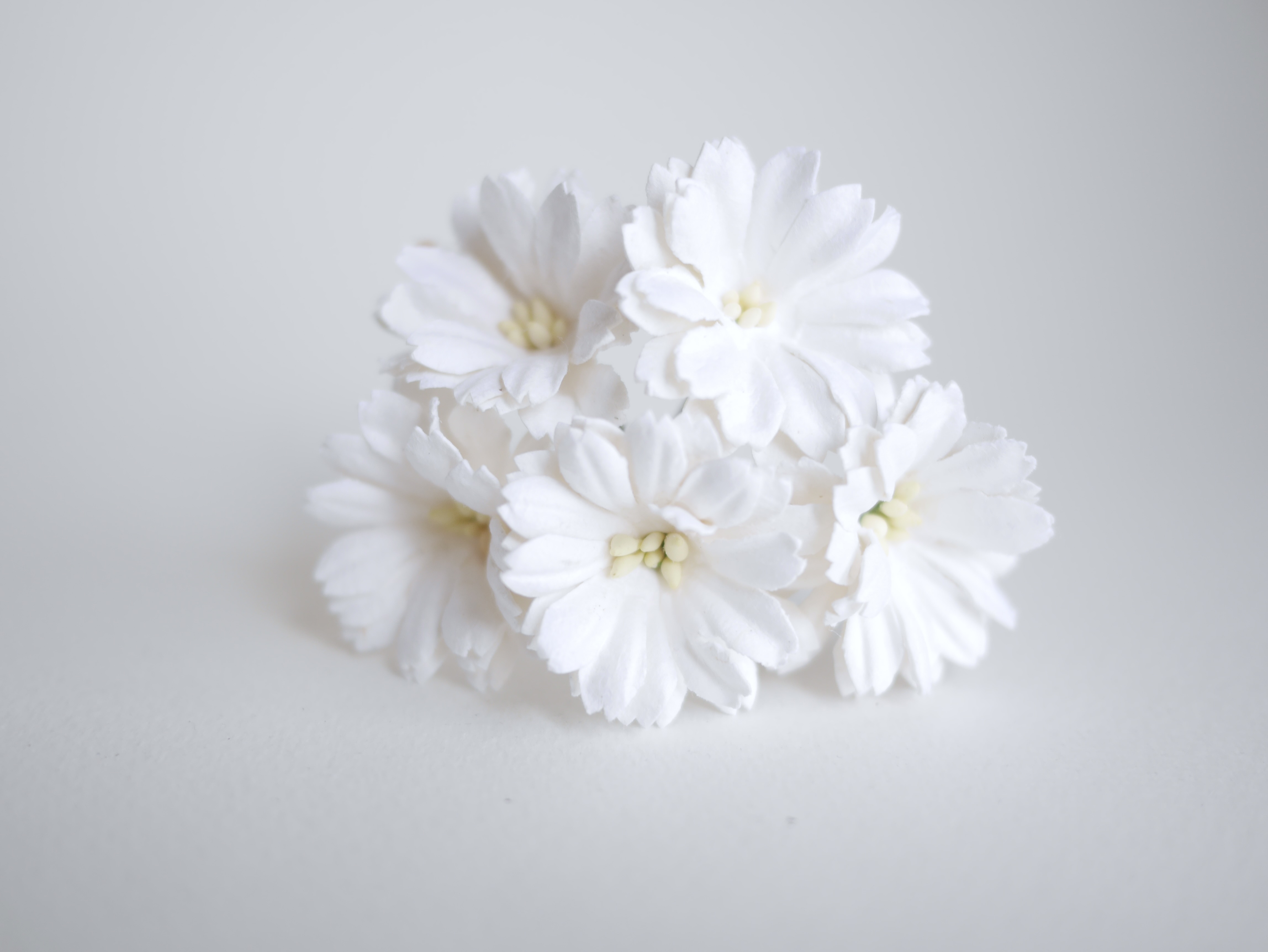 ดอกไม้กระดาษสา ดอกไม้ประดิษฐ์จากกระดาษสา ดอกเดซี่ ดอกไม้กระดาษสาขายส่ง ดอกไม้ประดิษฐ์ ดอกไม้ทำข้อมือเพื่อนเจ้าสาว ดอก daisy ขนาด 3.5 cm. จำนวน 25 ดอก สีขาว Paper Flower, 25 Daisy Flowers, ivory color, size 4.5 cm., white pollen.