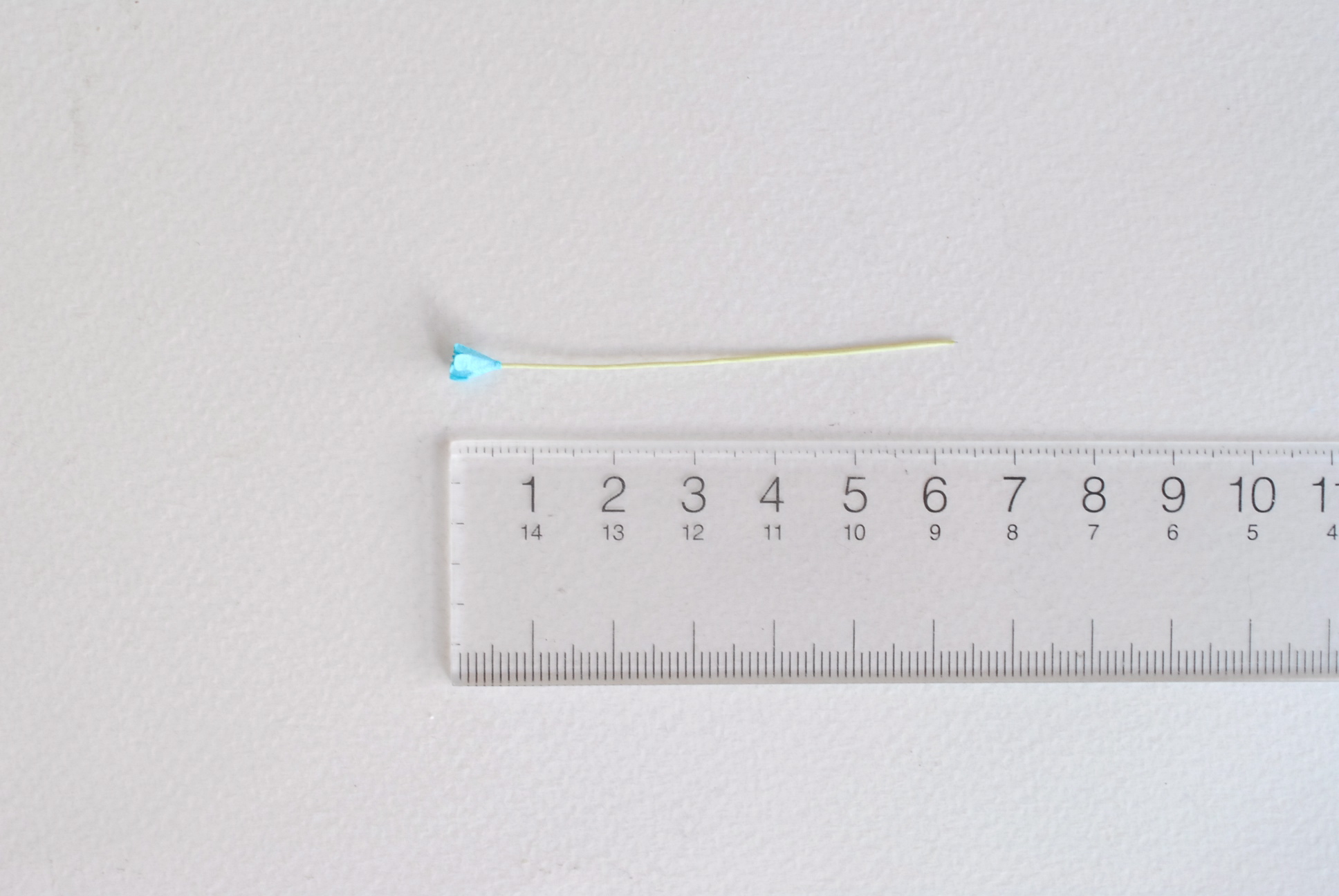 ดอกไม้ประดิษฐ์, ดอกไม้กระดาษสา, ดอก gypsophila, ดอกยิปโซ งานประดิษฐ์ตกแต่งของชำร่วย, ดอกไม้ทำพานพุ่ม, พานรับไหว้, ขนาด 0.4 cm. สีฟ้าน้ำทะเล