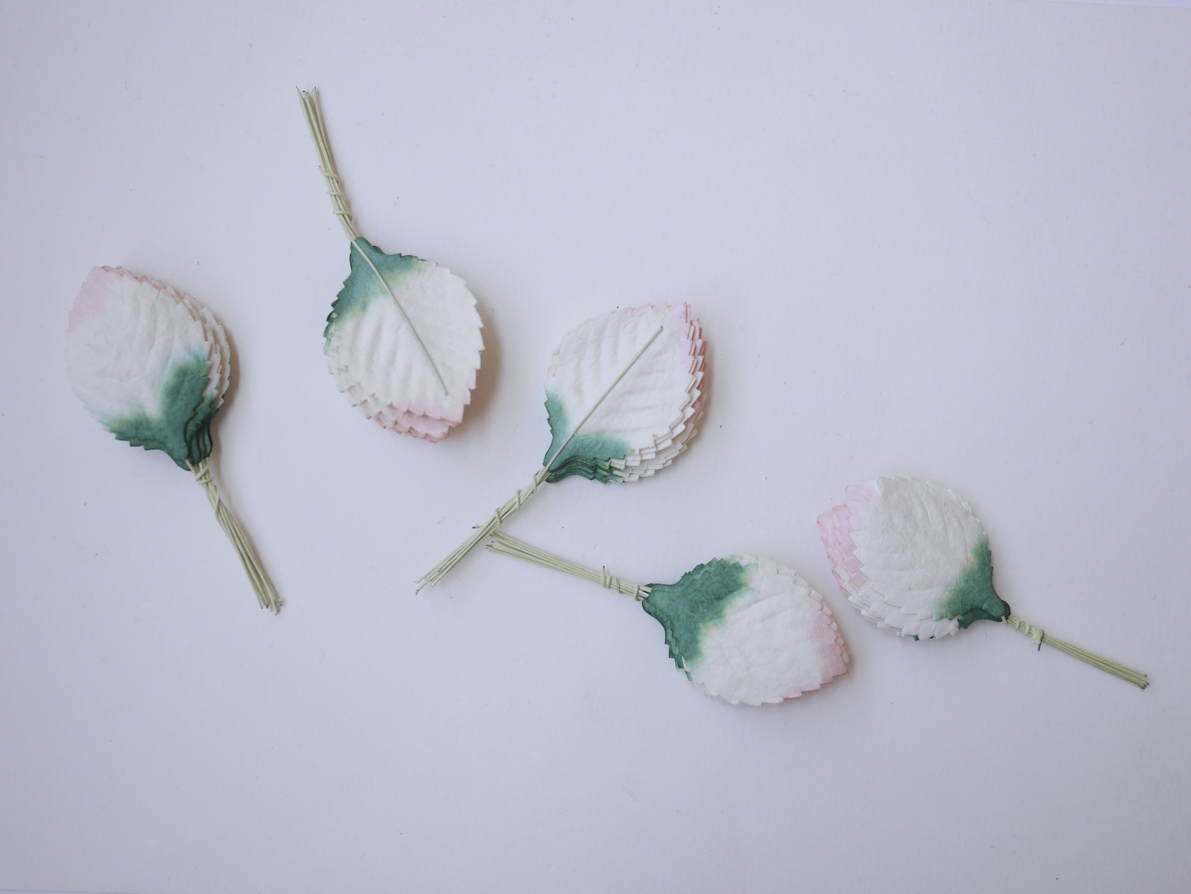 ใบไม้กระดาษ ใบไม้กระดาษสา ราคาส่ง,ใบไม่้กุหลาบกระดาษ สำหรับดอกกุหลาบกระดาษสา ใบไม้ประดิษฐ์ สำหรับตกแต่ง หรืองานแต่งงาน สีขาวปัดเขียวแก่ ขนาด 4.5x2.5 cm. จำนวน 50 ใบ สำเนา