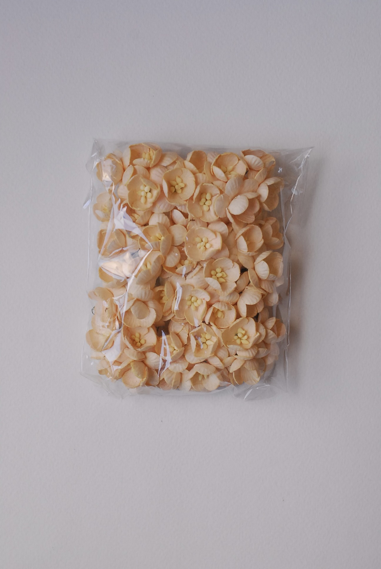 ดอกไม้กระดาษสา ดอกไม้กระดาษสาราคาส่ง ดอกไม้กระดาษสำหรับตกแต่งของชำร่วย งานแต่งงาน ทำช่อดอกไม้ติดอกเจ้าบ่าว ข้อมือดอกไม้เจ้าสาว ขนาด2.5 cm. 50 ดอก สีเบจ Paper flowers supplies: DIY wedding tools Cherry blossom (Sakura) 50 pcs. size 2.5 cm. beige color.